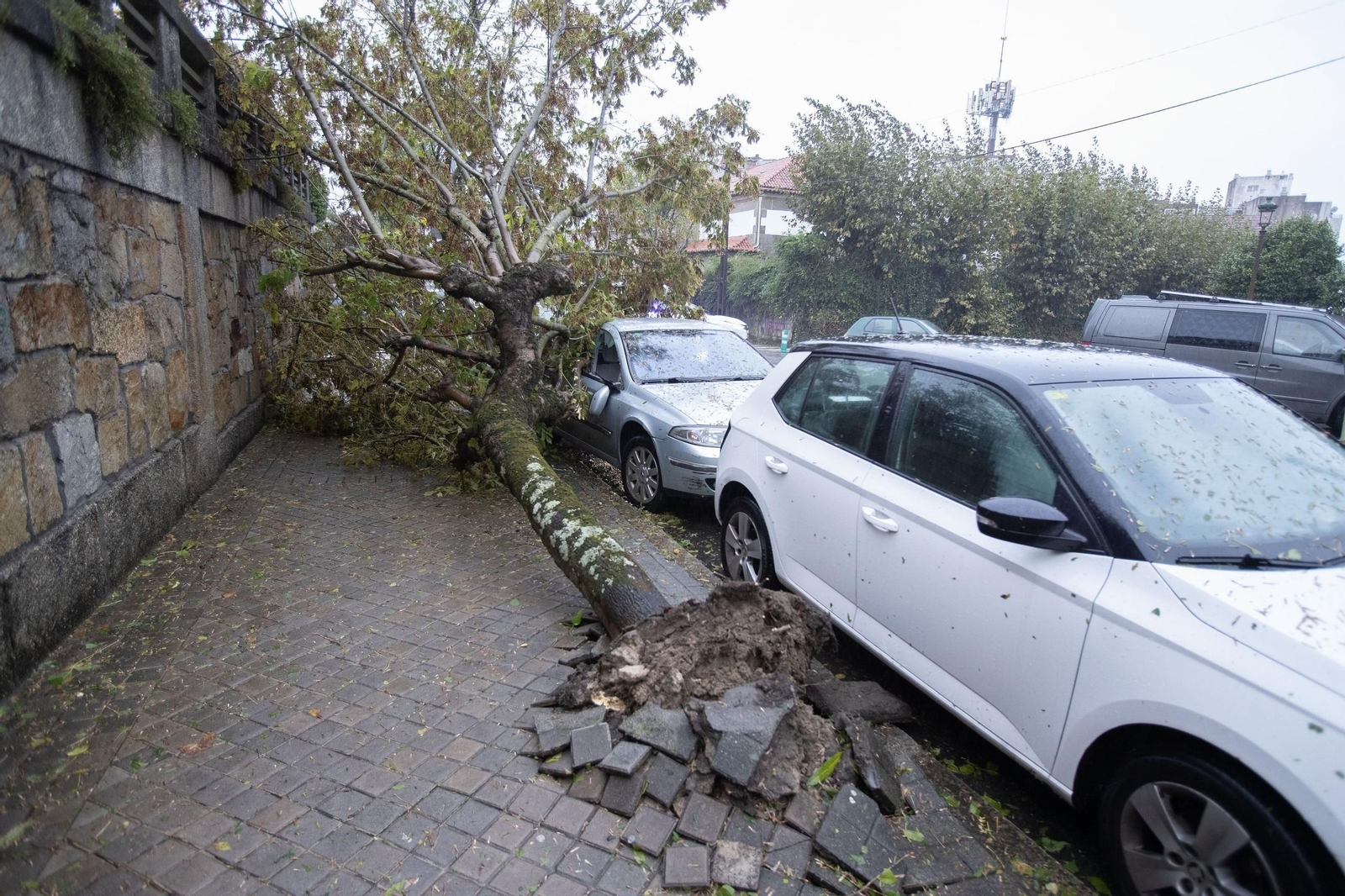 El viento ha alcanzado rachas de 180 km/h en Vigo