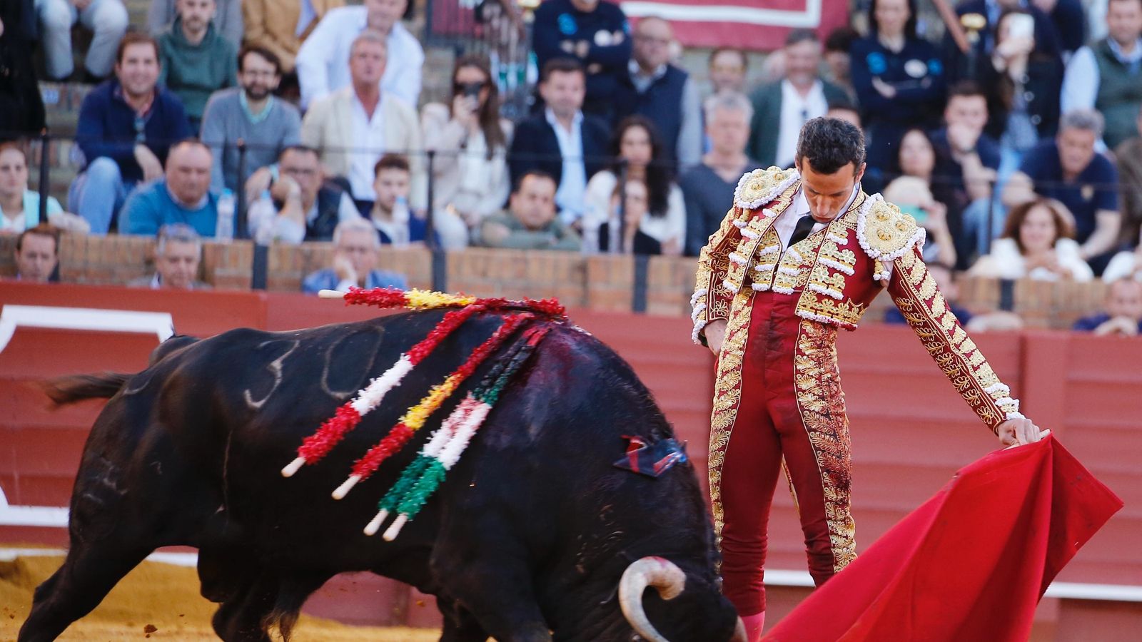 El quinto, 'Tabarro', embistió así a la muleta de David de Miranda.