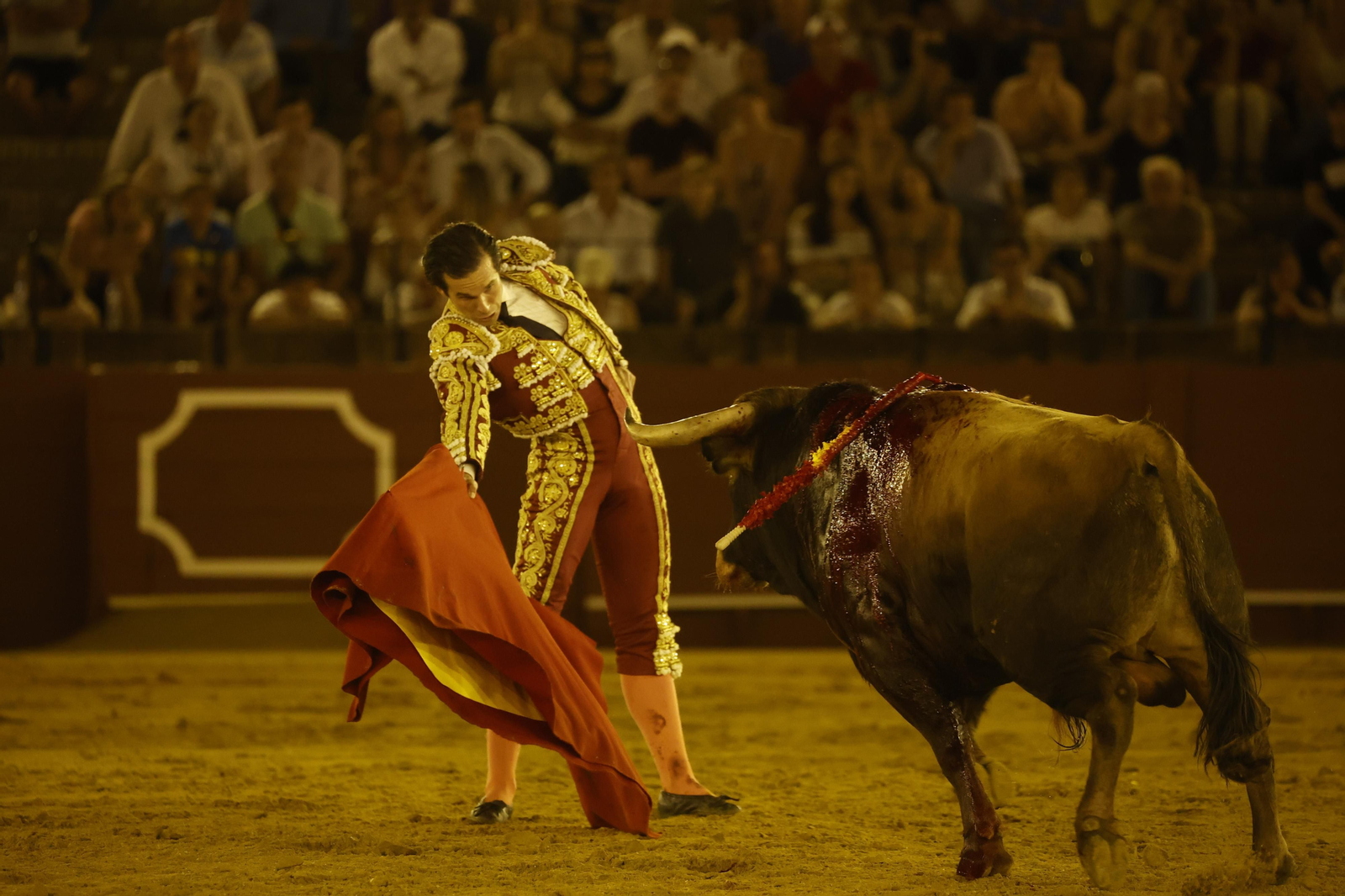 Las imágenes de la novillada en la Maestranza