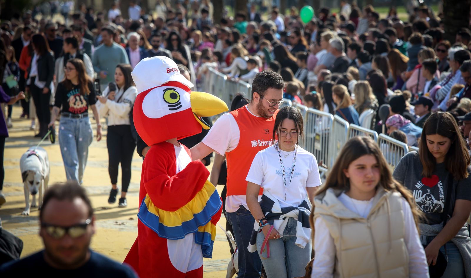 Fiesta de san Antón 2024 en Jerez