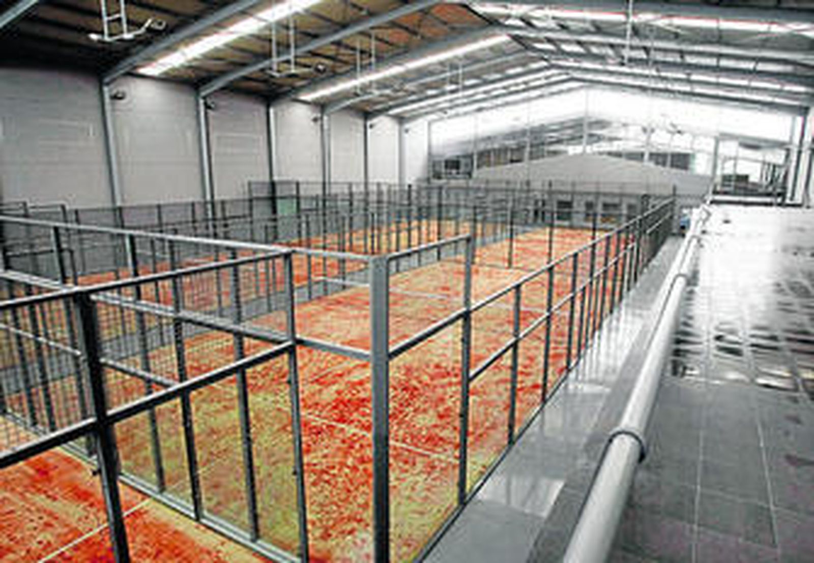 Nuevas instalaciones para la práctica del pádel en el polígono Las Salinas de Poniente.