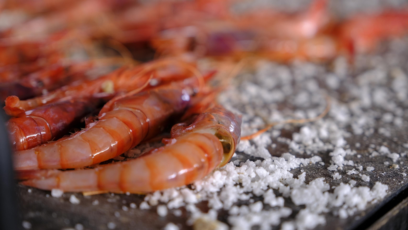 Imágenes de la Feria de la Gamba Roja de Garrucha