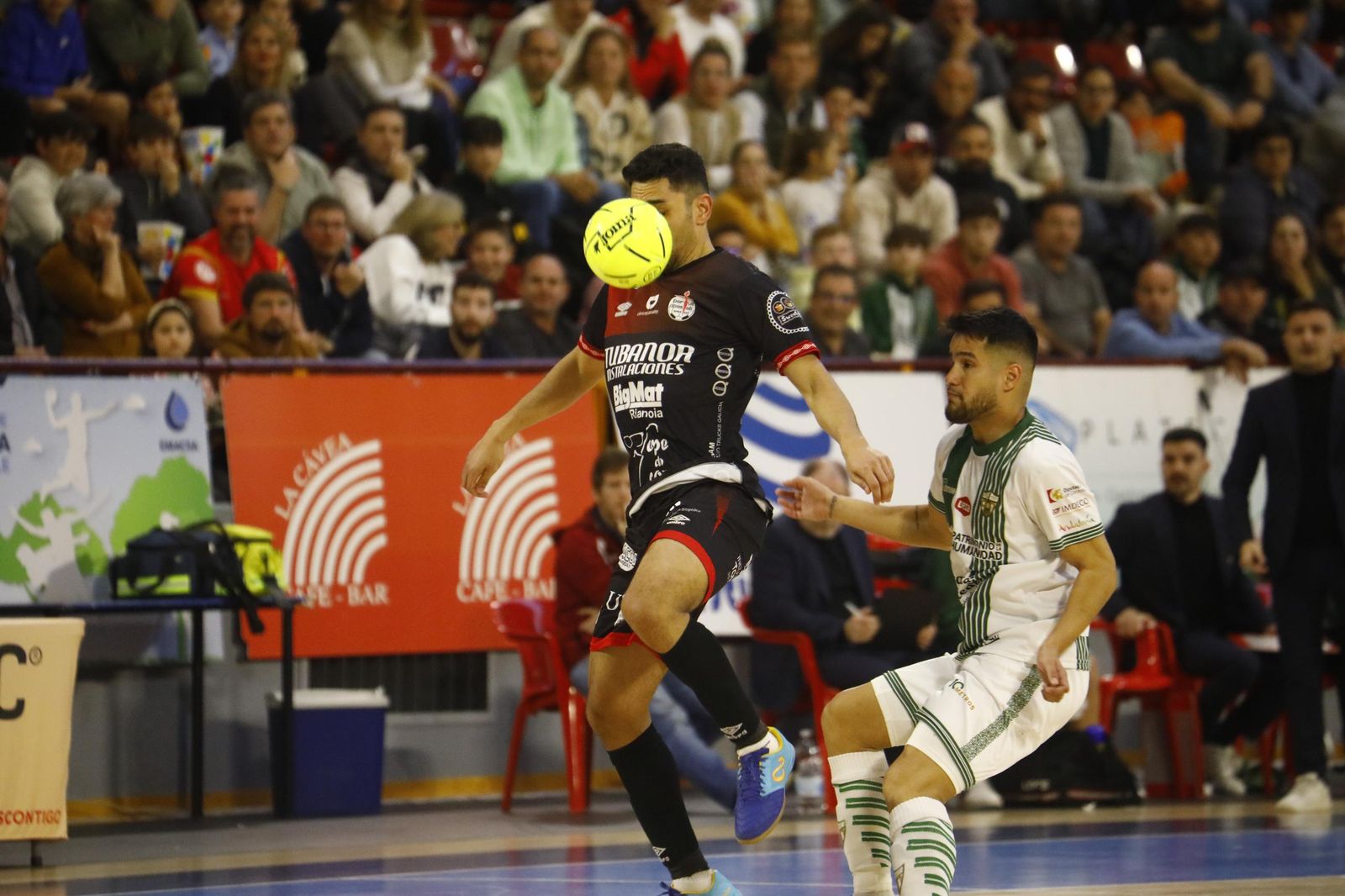 Las mejores fotos del ambiente en Vista Alegre para el Córdoba Futsal - Noia