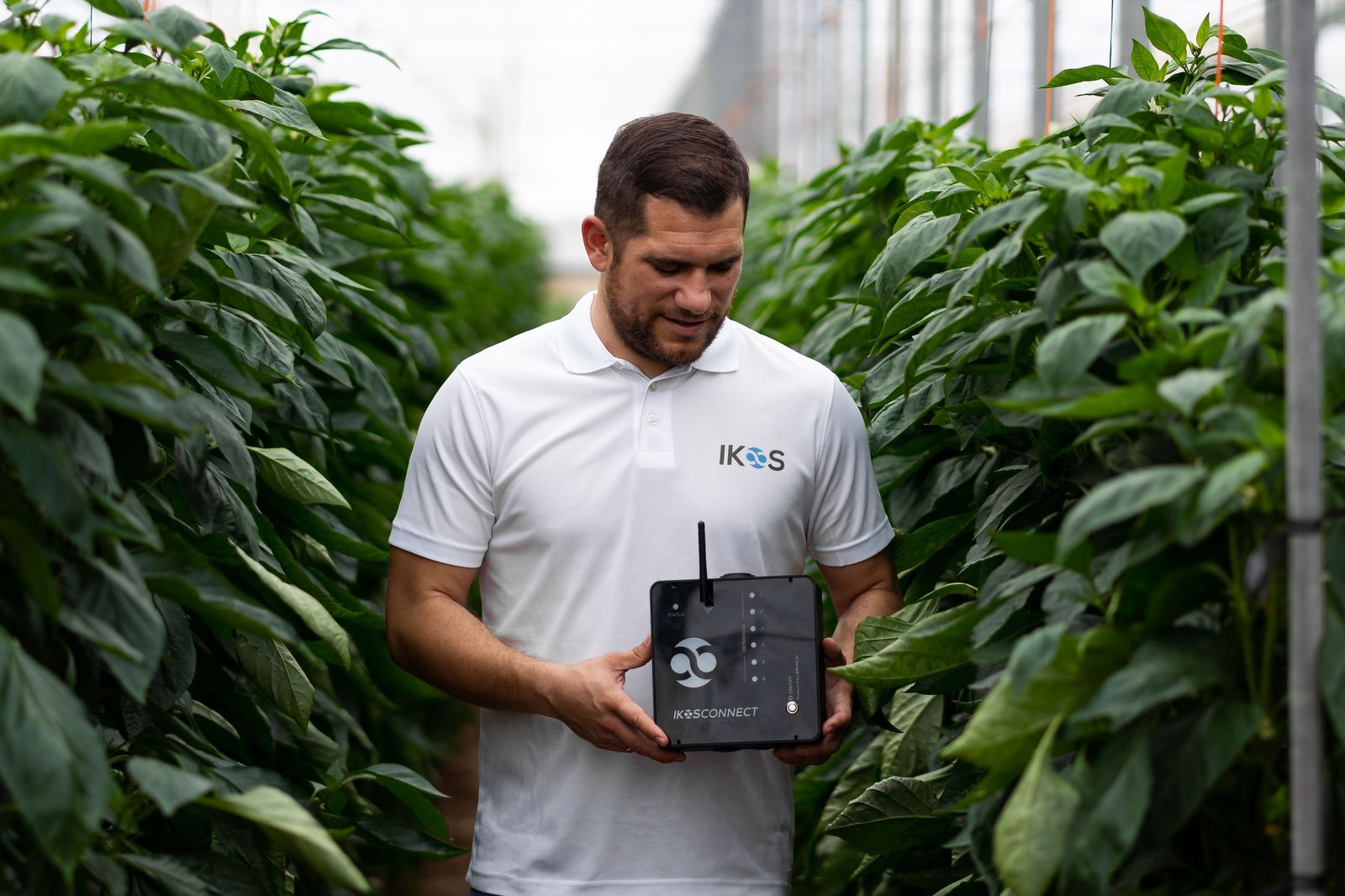 Ikos Adavanced cierra una ronda de inversión de 8 millones de euros.