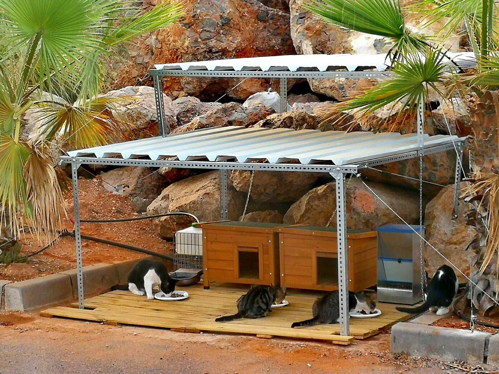 Los gatos tienen instalaciones para su comodidad y están atendidos en el Puerto Deportivo de Aguadulce.