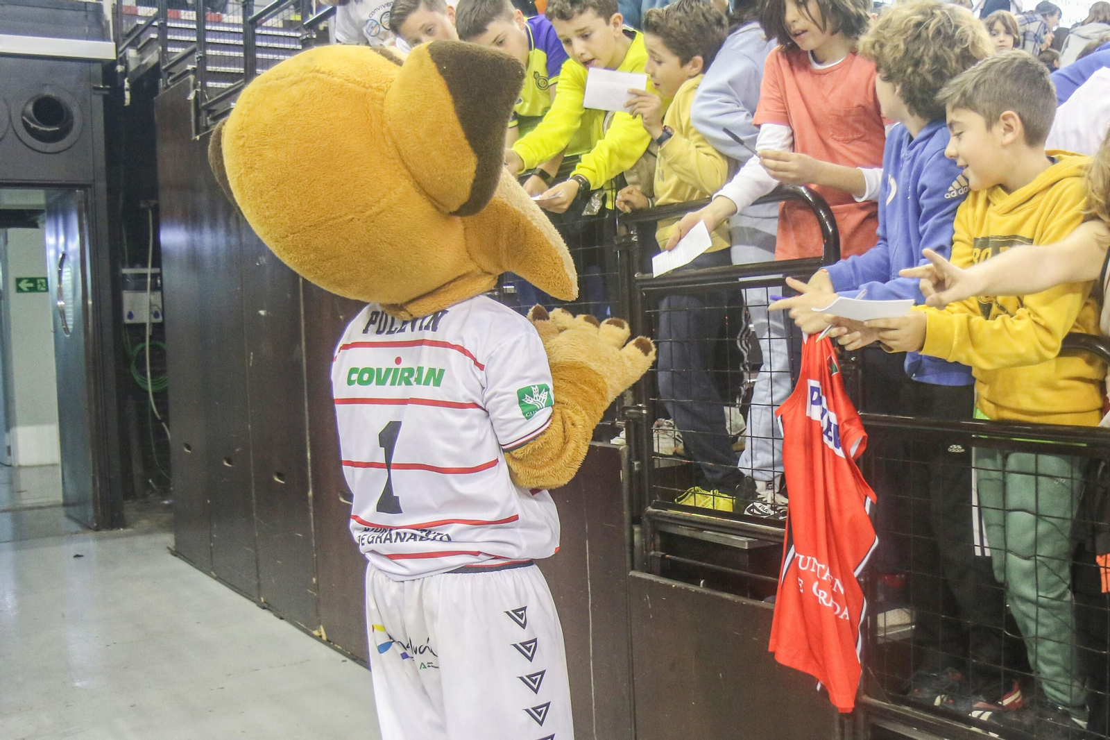 Las mejores imágenes del Fenix Camp en el Palacio