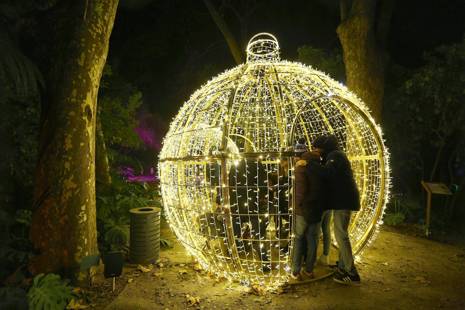 Las luces del Jardín Botánico de Málaga, en fotos
