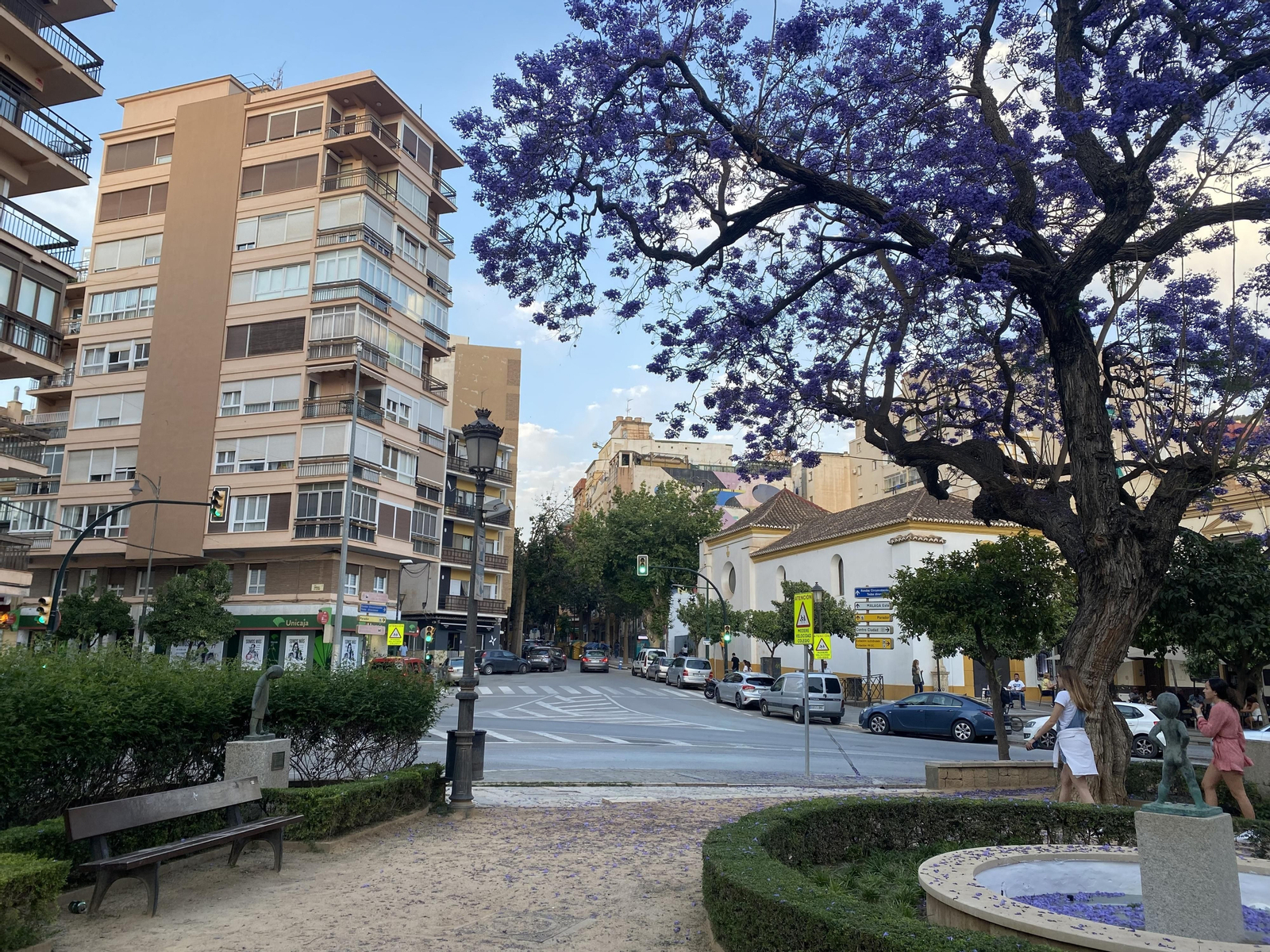 Jacarandas en el Jardín de los Monos: pasen y vean.