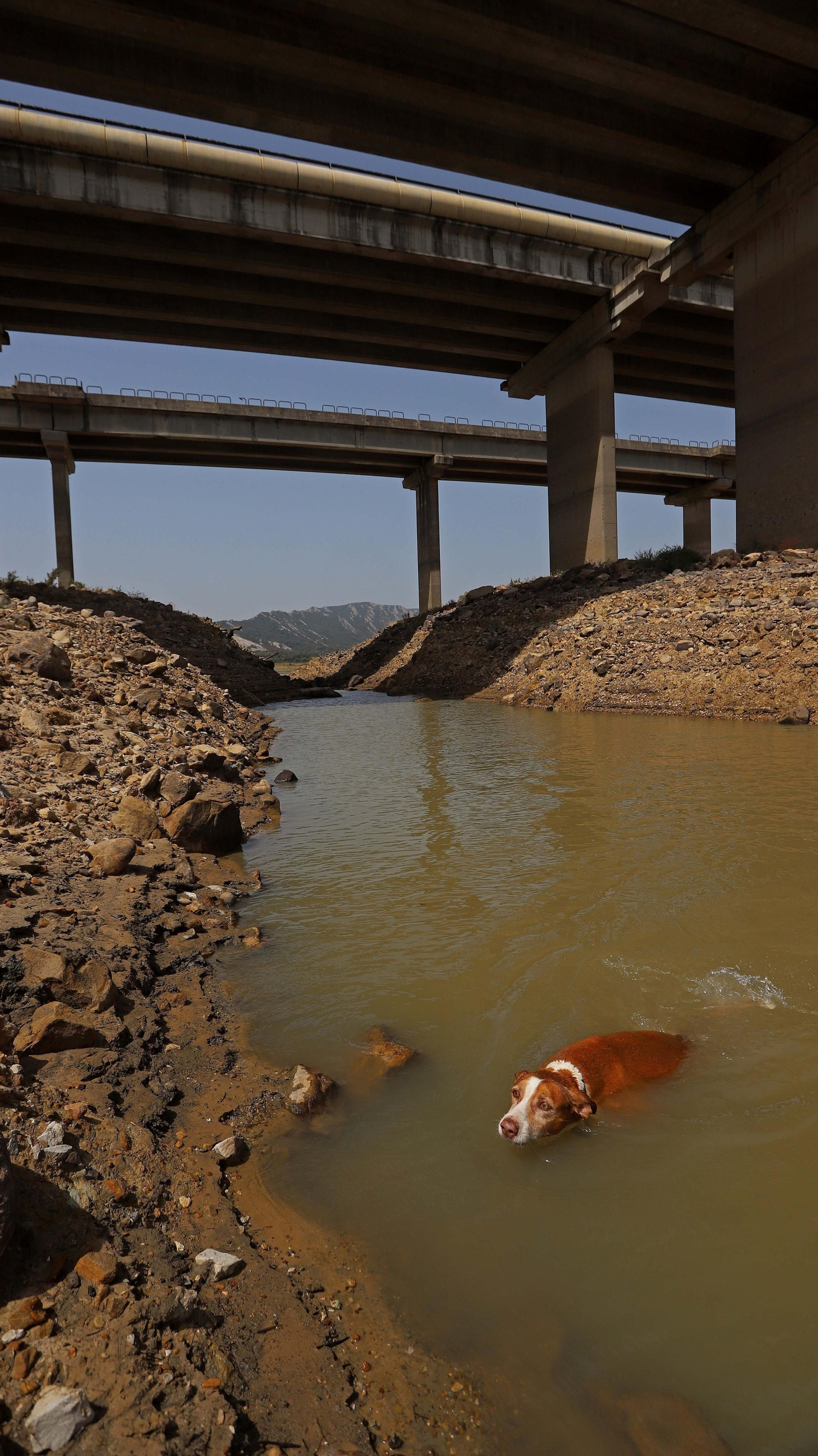 Fotos del embalse de Charco Redondo al 31 % de su capacidad Fotos del embalse de Charco Redondo al 31 % de su capacidad
