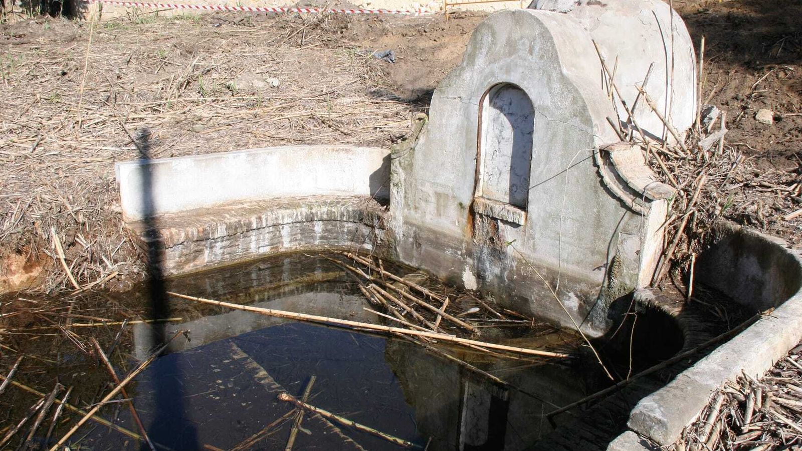 La fuente de Los Cañuelos, que se ha puesto al descubierto tras el desbroce de parte del cañaveral.