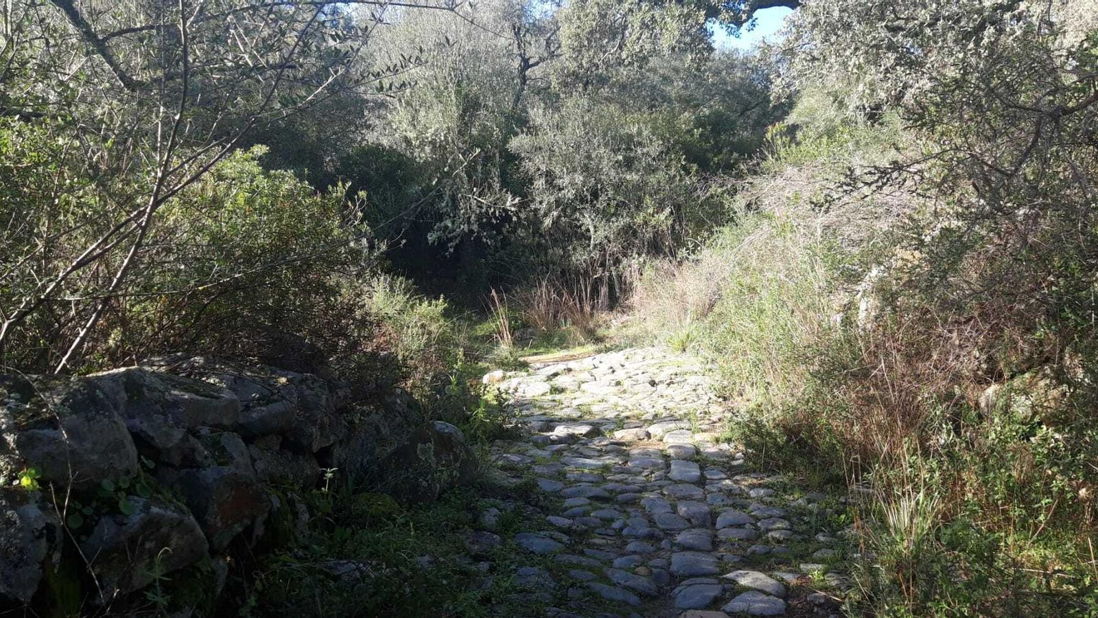 Cuidado con el suelo, muchas veces las piedras están mojadas y resbalan.
