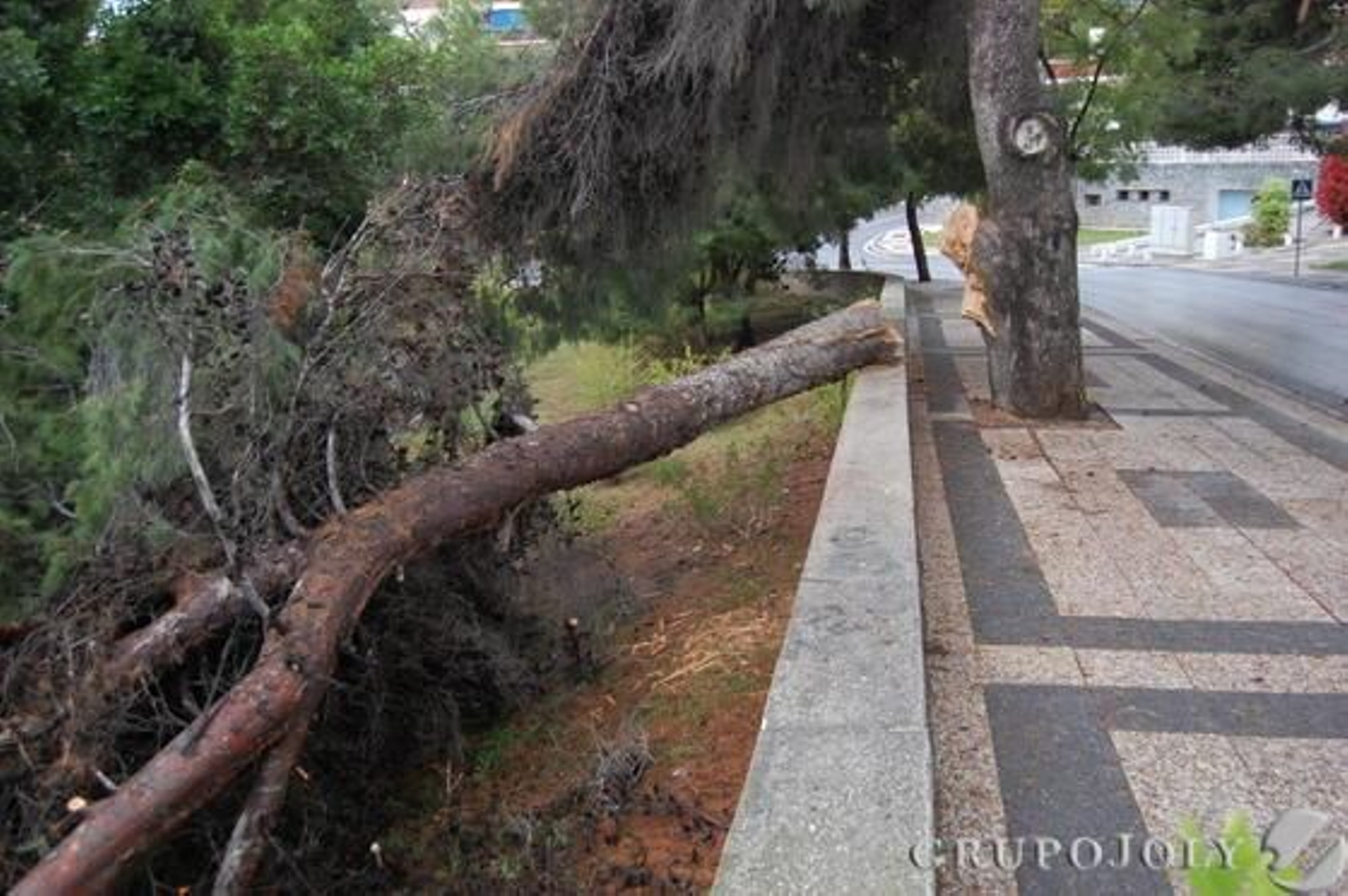 Foto: Rosa Fernandez