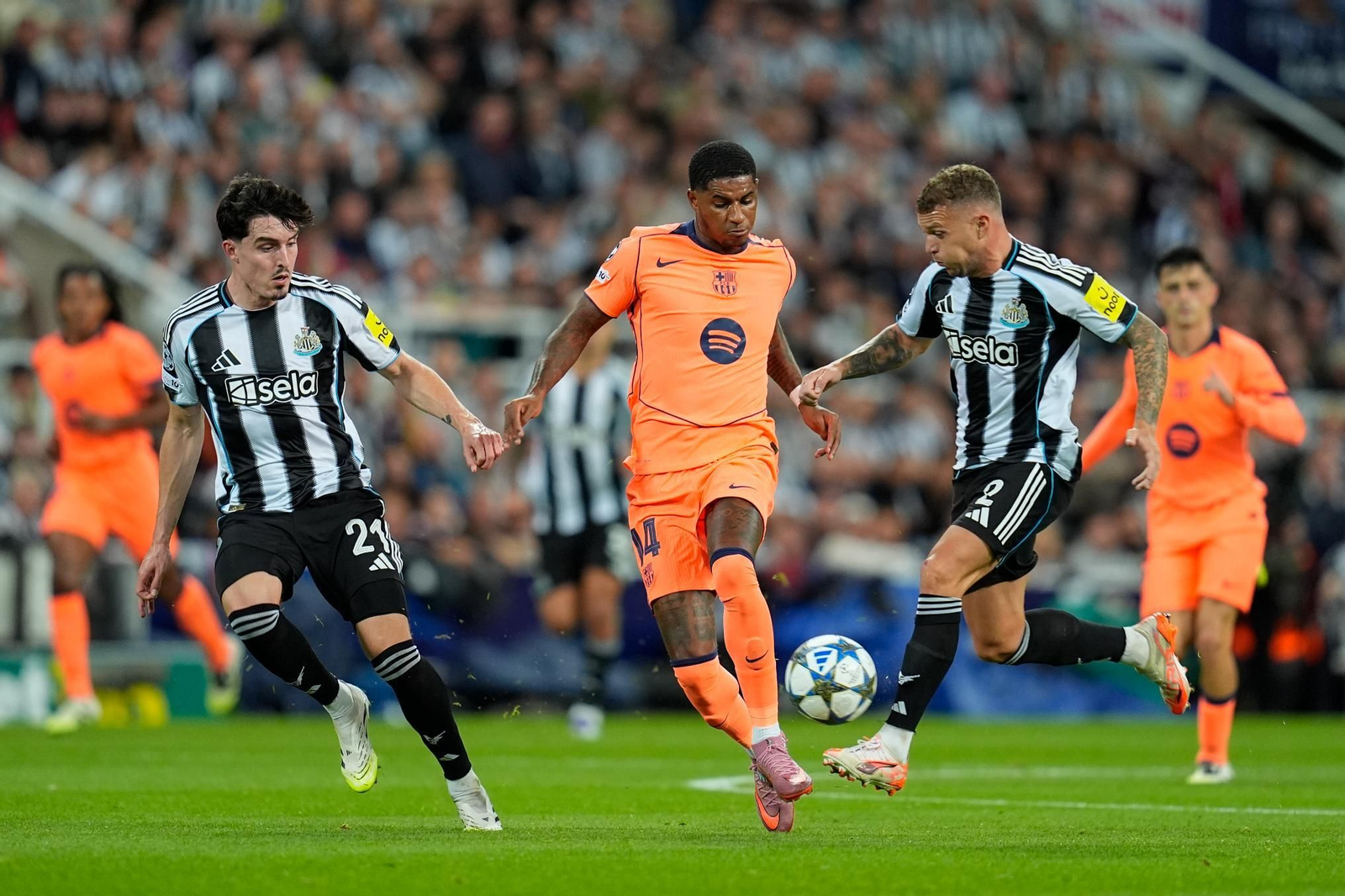 Las fotos del Newcastle-Barcelona