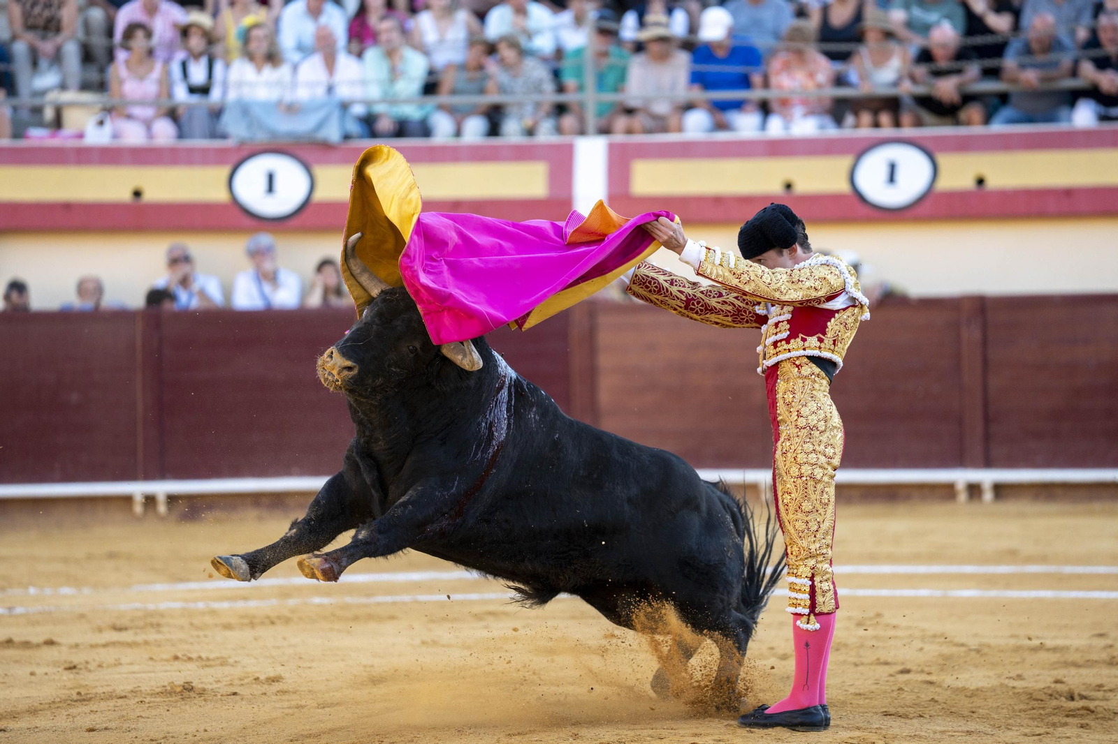 Las imágenes de los toros en Vera