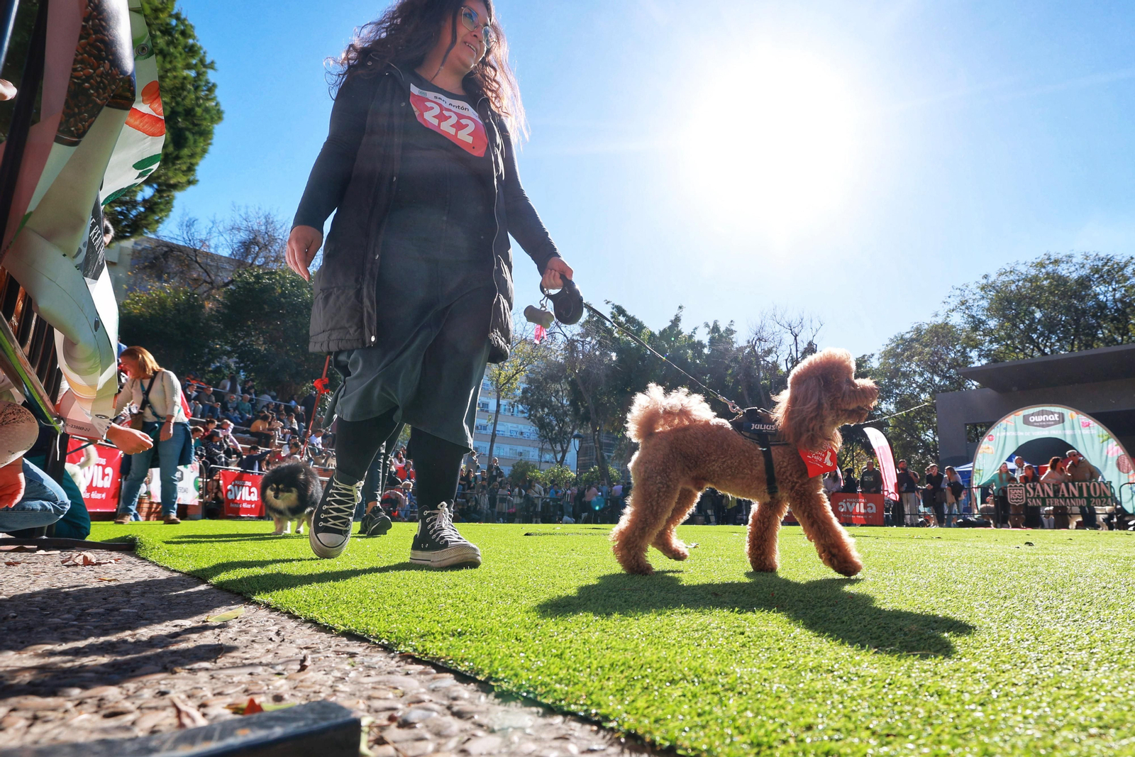 San Fernando celebra la fiesta de San Antón en el Parque