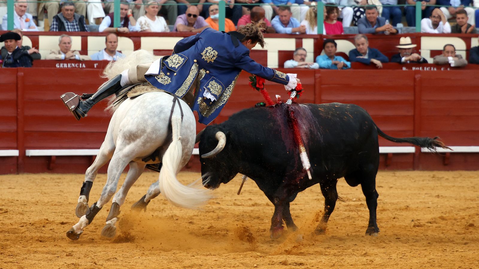 Toros en Jerez: El arte ecuestre