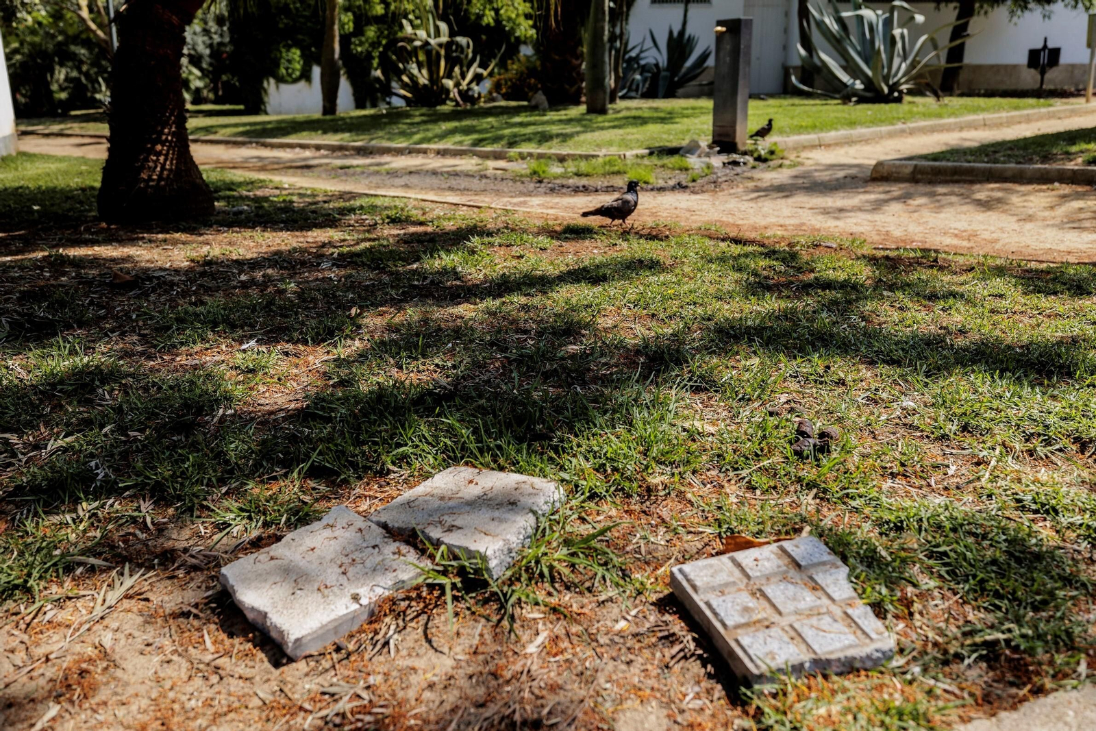 Las zonas verdes menos verdes de la ciudad de Cádiz