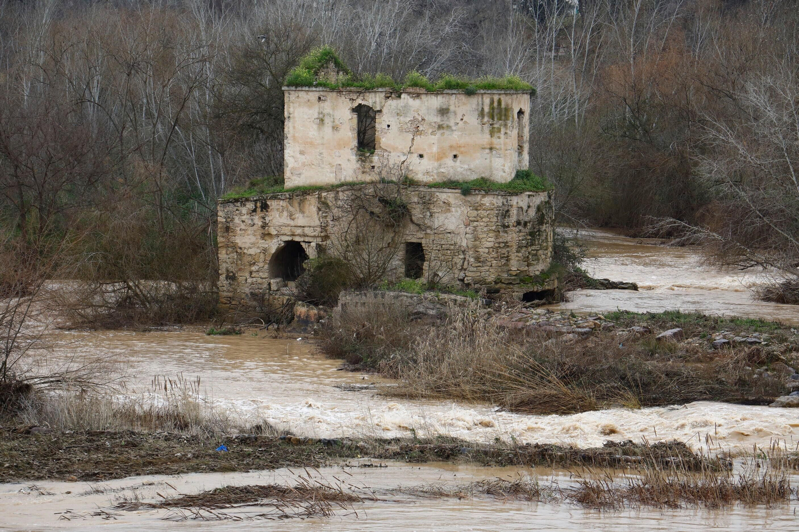 La crecida del río Guadalquivir en Córdoba tras las lluvias caídas por la borrasca Karlotta, en imágenes
