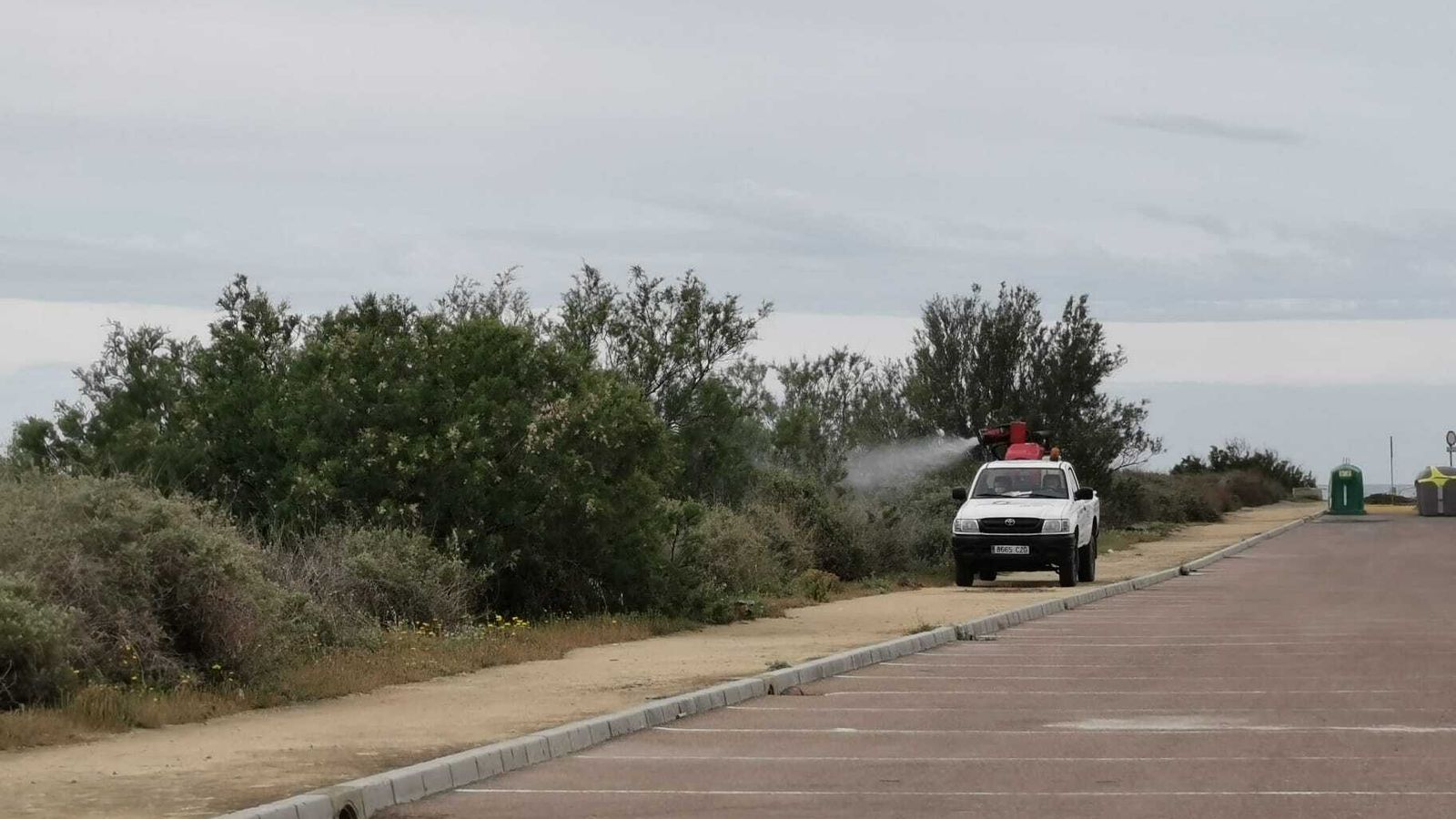 Un operario, durante los trabajos de fumigación.