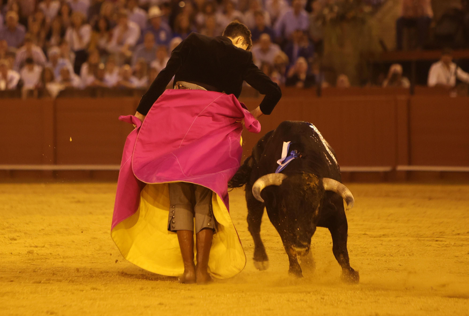Fotos del Festival taurino a beneficio de l de la Hermandad del Rocío de Triana y de la Fundación Alalá