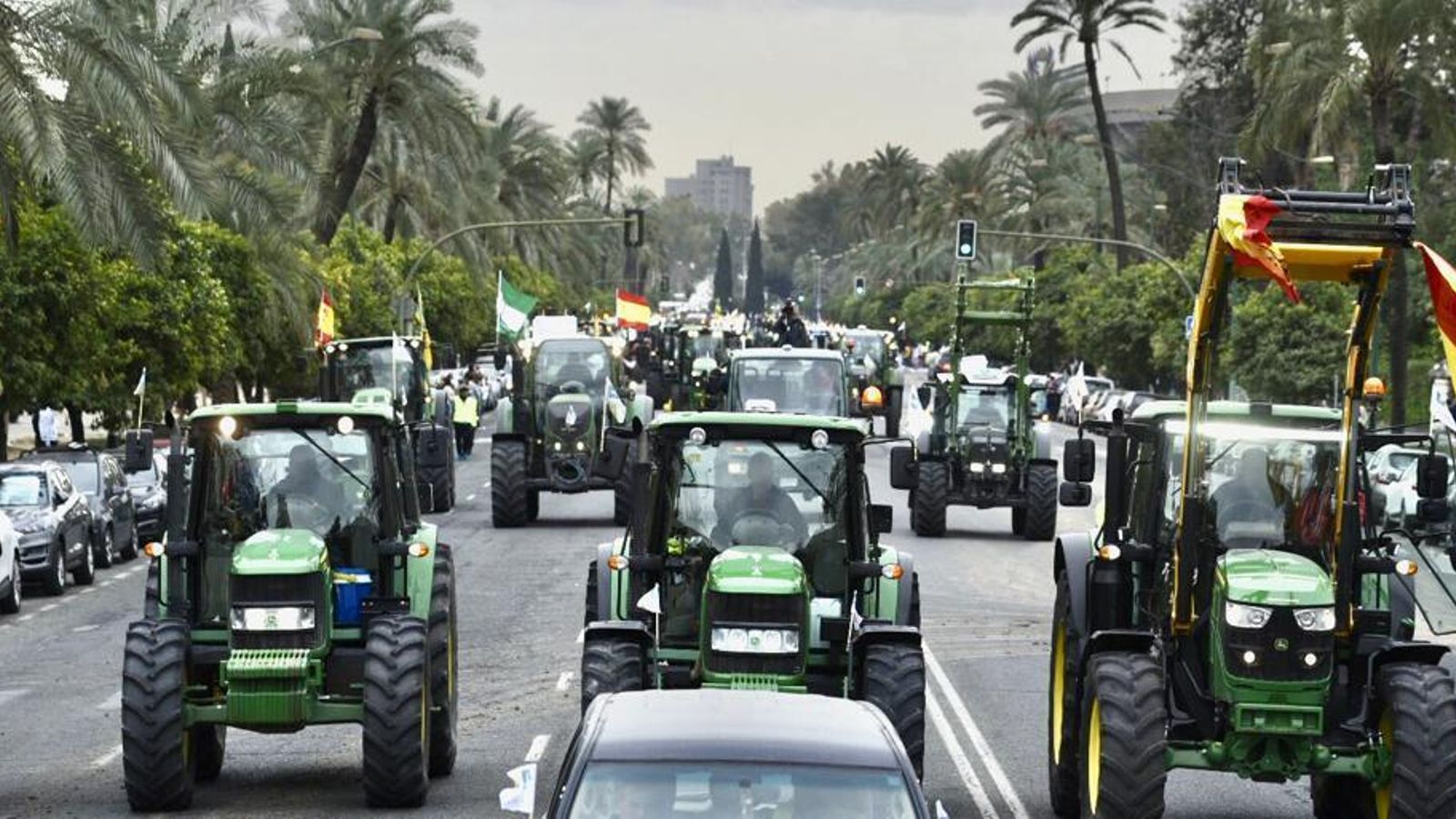 Cientos de tractores en la Avenida de la Palmera