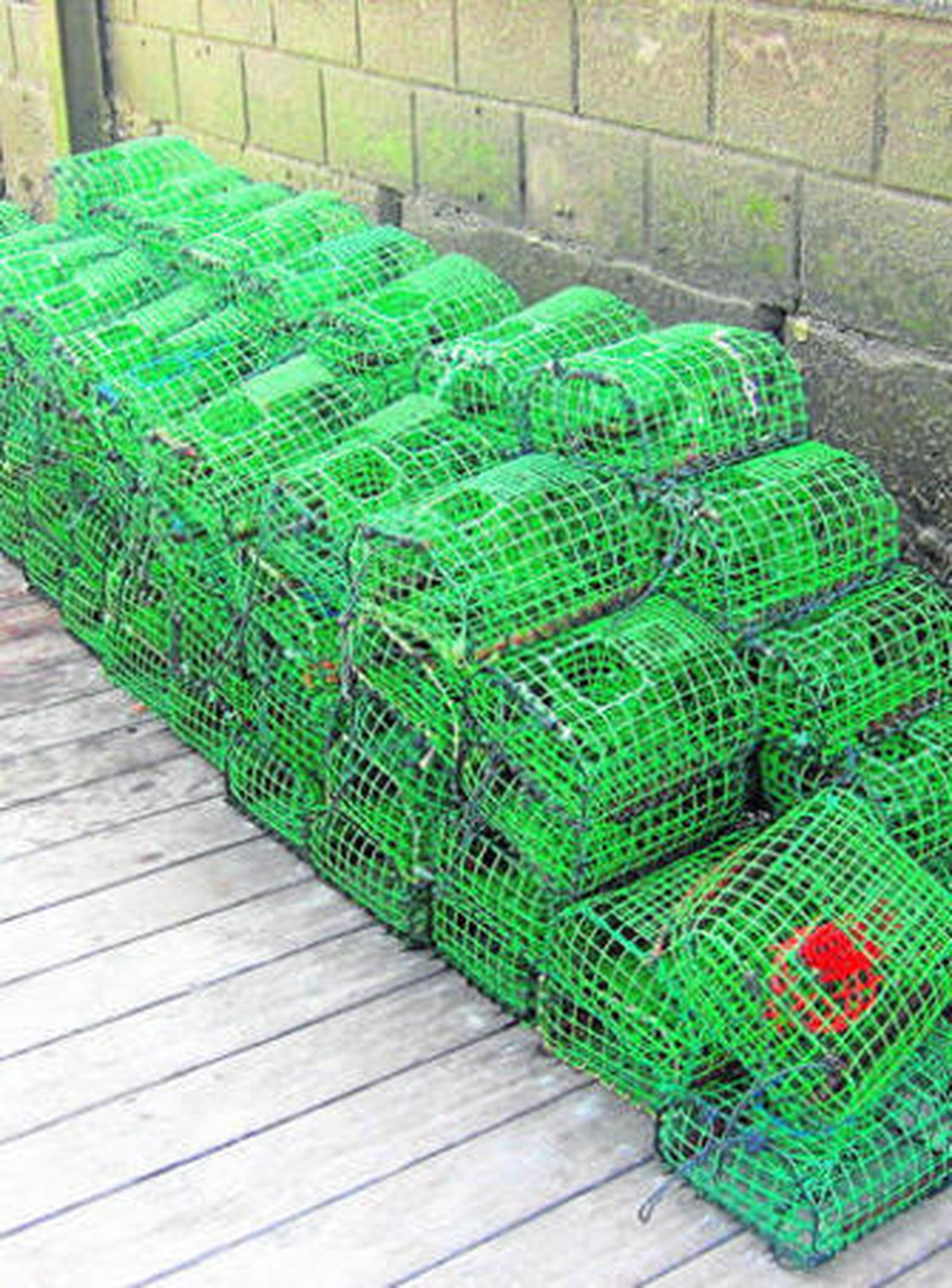 Nasas para capturar pulpo intervenidas al barco.