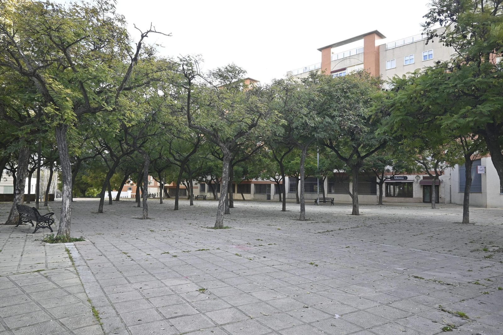Barrio a Barrio: Imágenes de San Sebastián
