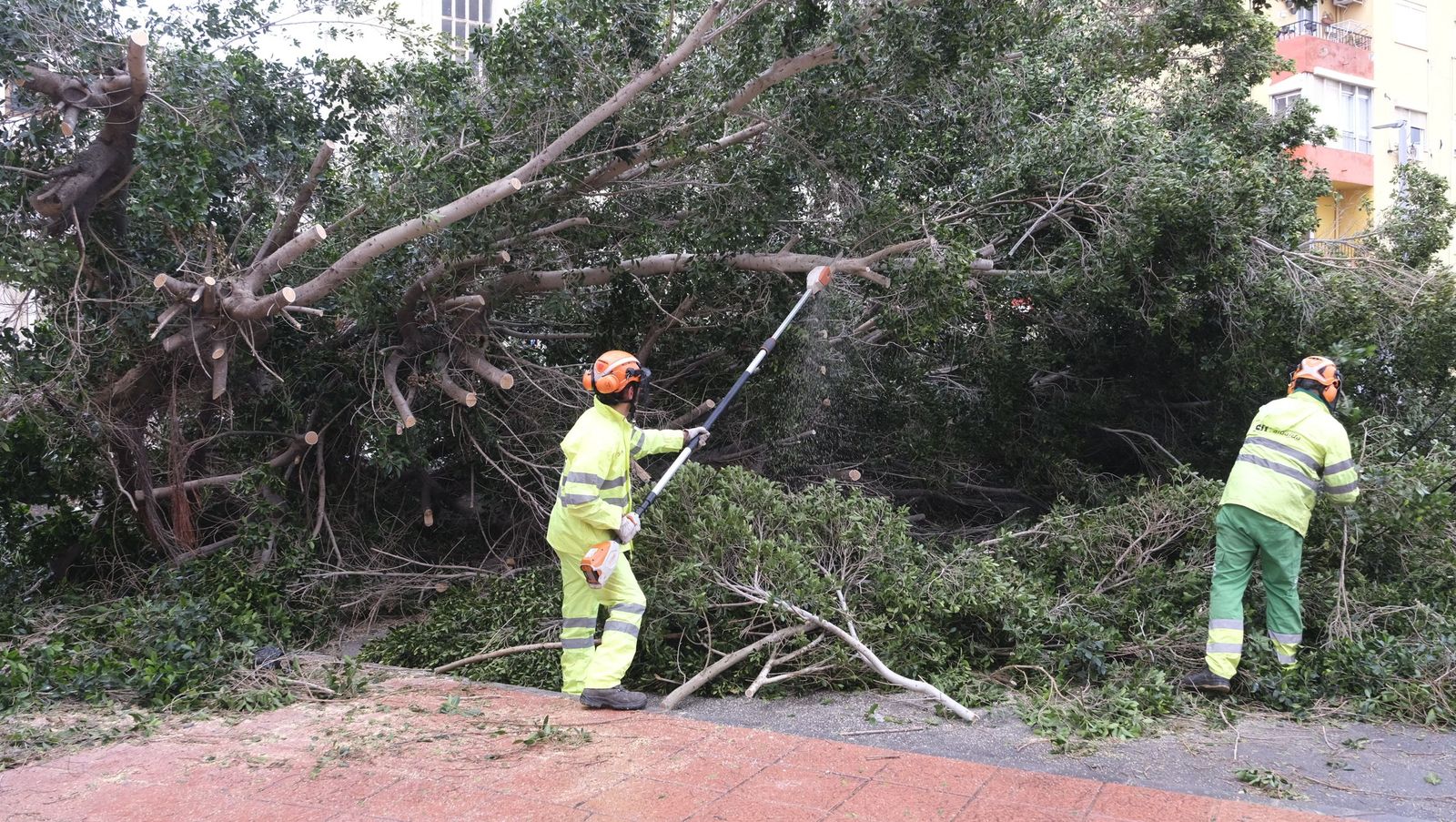 La Borrasca Leonardo se ensaña con Almería, en imágenes