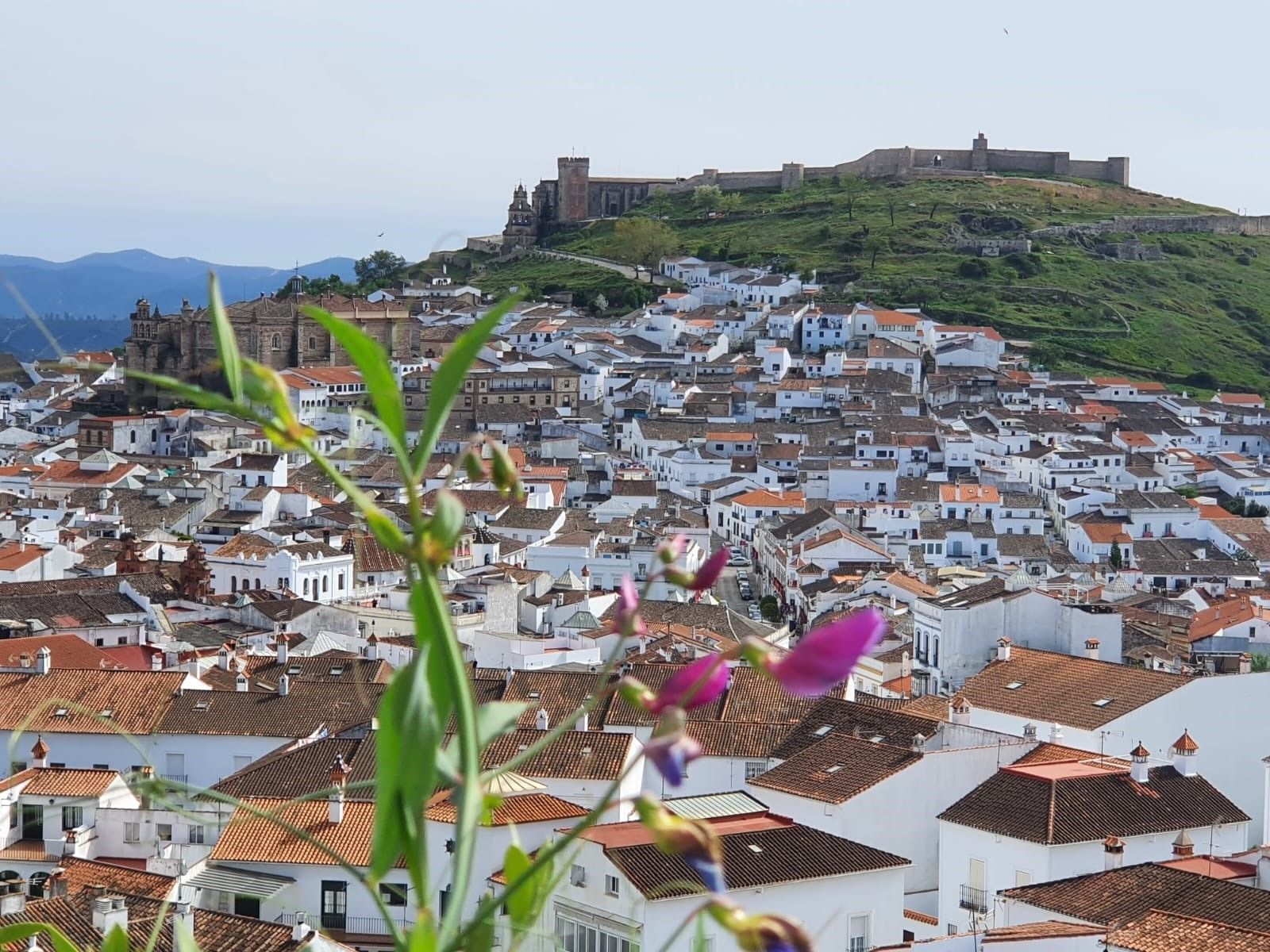 Al fondo, el Castillo de Aracena