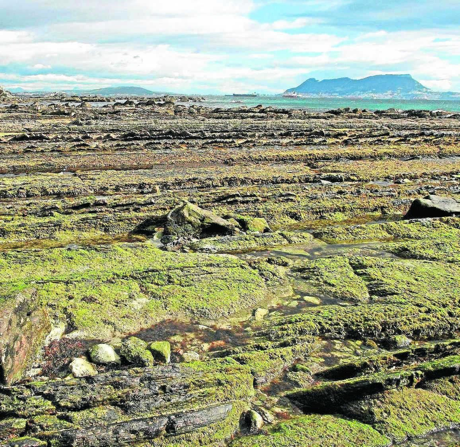 Gibraltar, visto desde una cala de rocas dentro del Parque Natural del Estrecho.