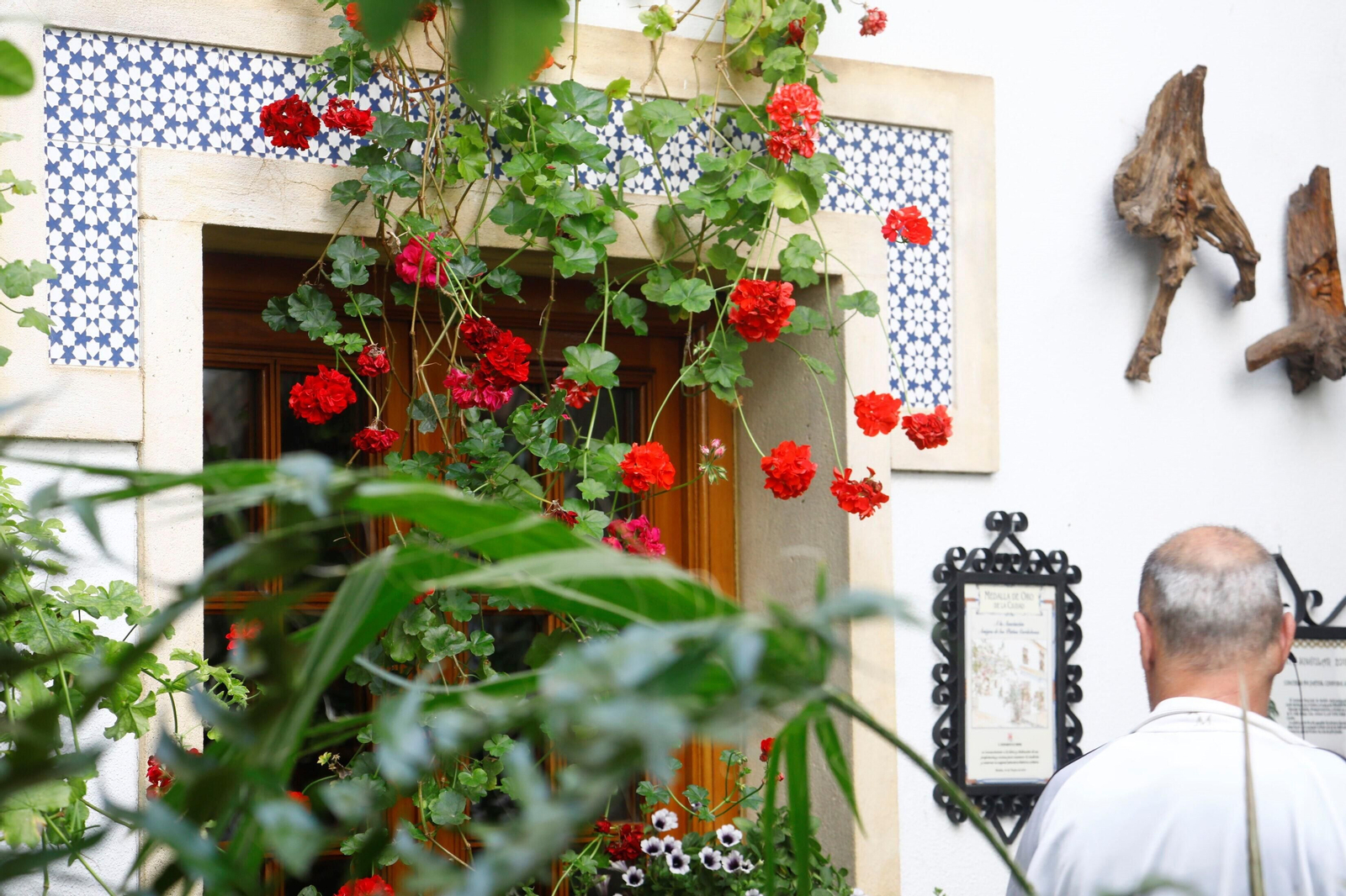 Los patios de Córdoba de la ruta Judería-San Francisco, en imágenes