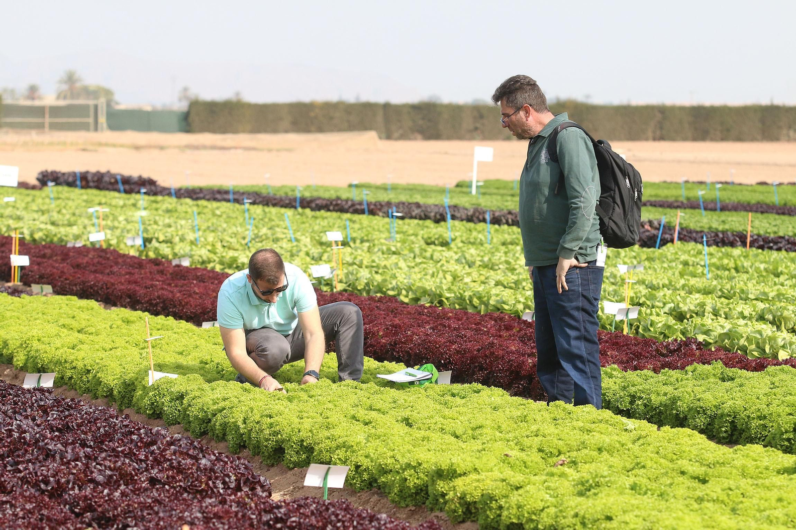 Fotogalería de las jornadas de puertas abiertas de Rijk Zwaan en Cartagena
