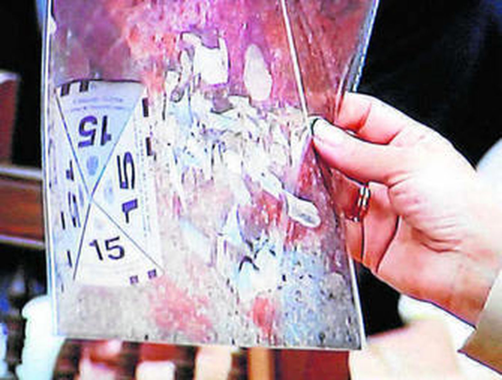 La perito policial Josefina Lamas observa fotos de los huesos.