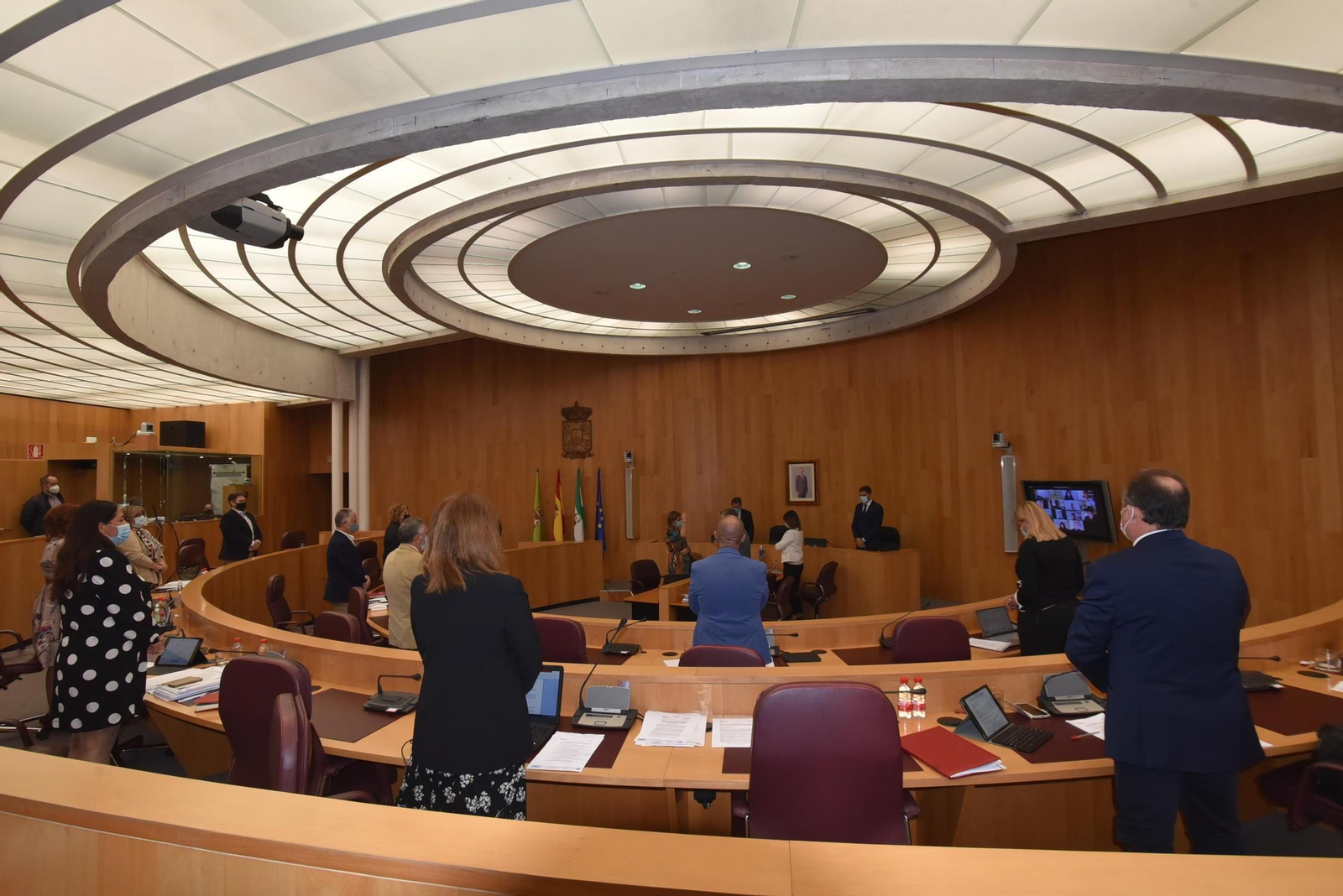 Pleno de la Diputación de Granada