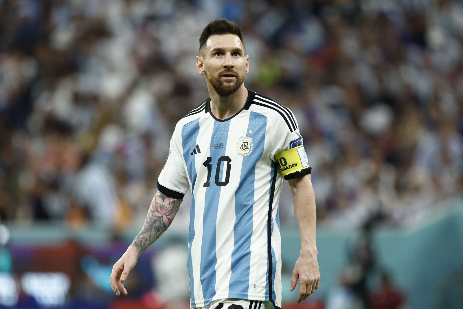 Las imágenes del Países Bajos - Argentina en los cuartos de final del Mundial de Qatar