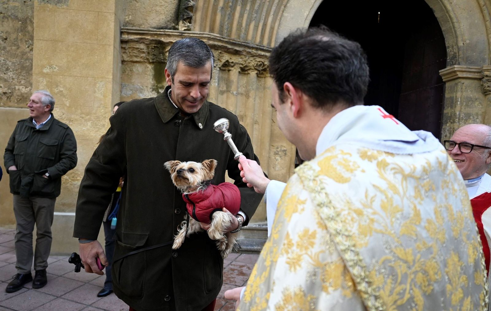 La bendición de animales por San Antón en Córdoba