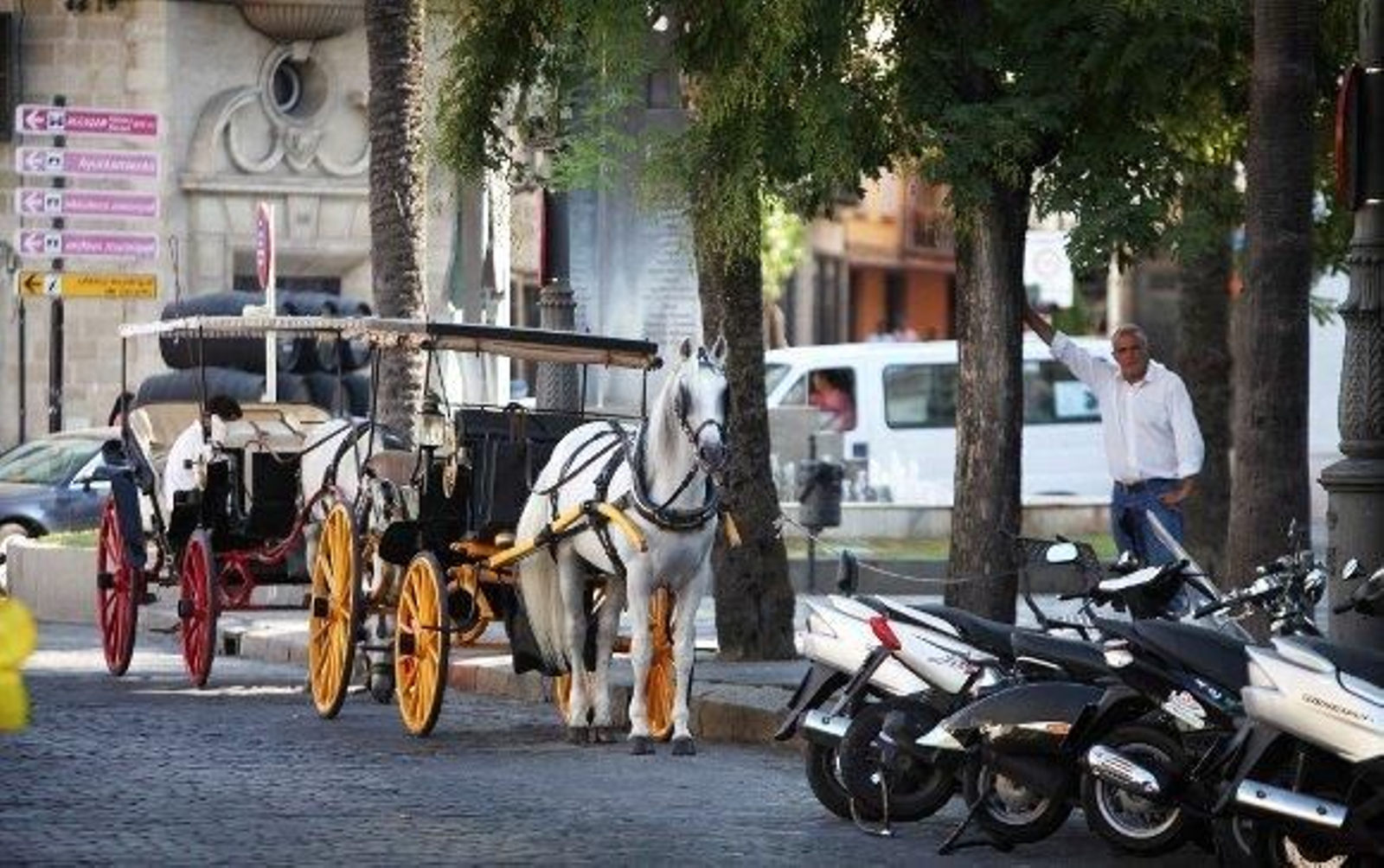 Paseo en coche de caballos.