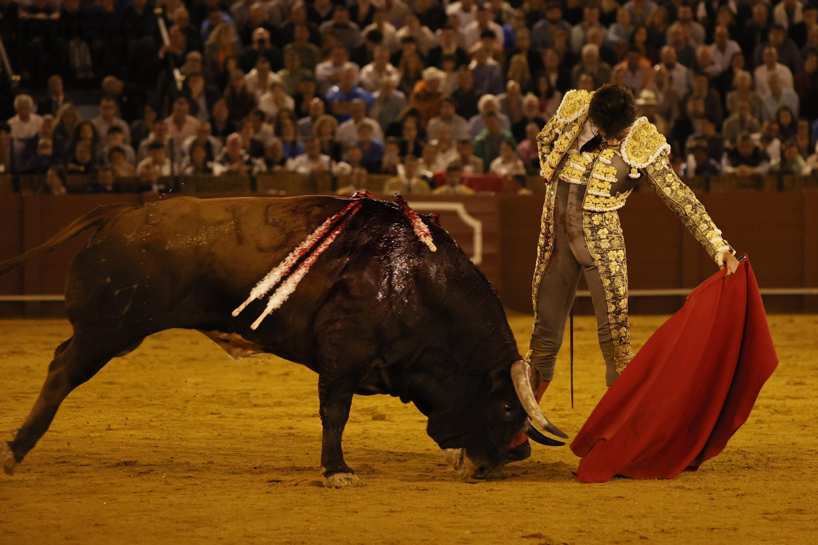 Las imágenes del festejo