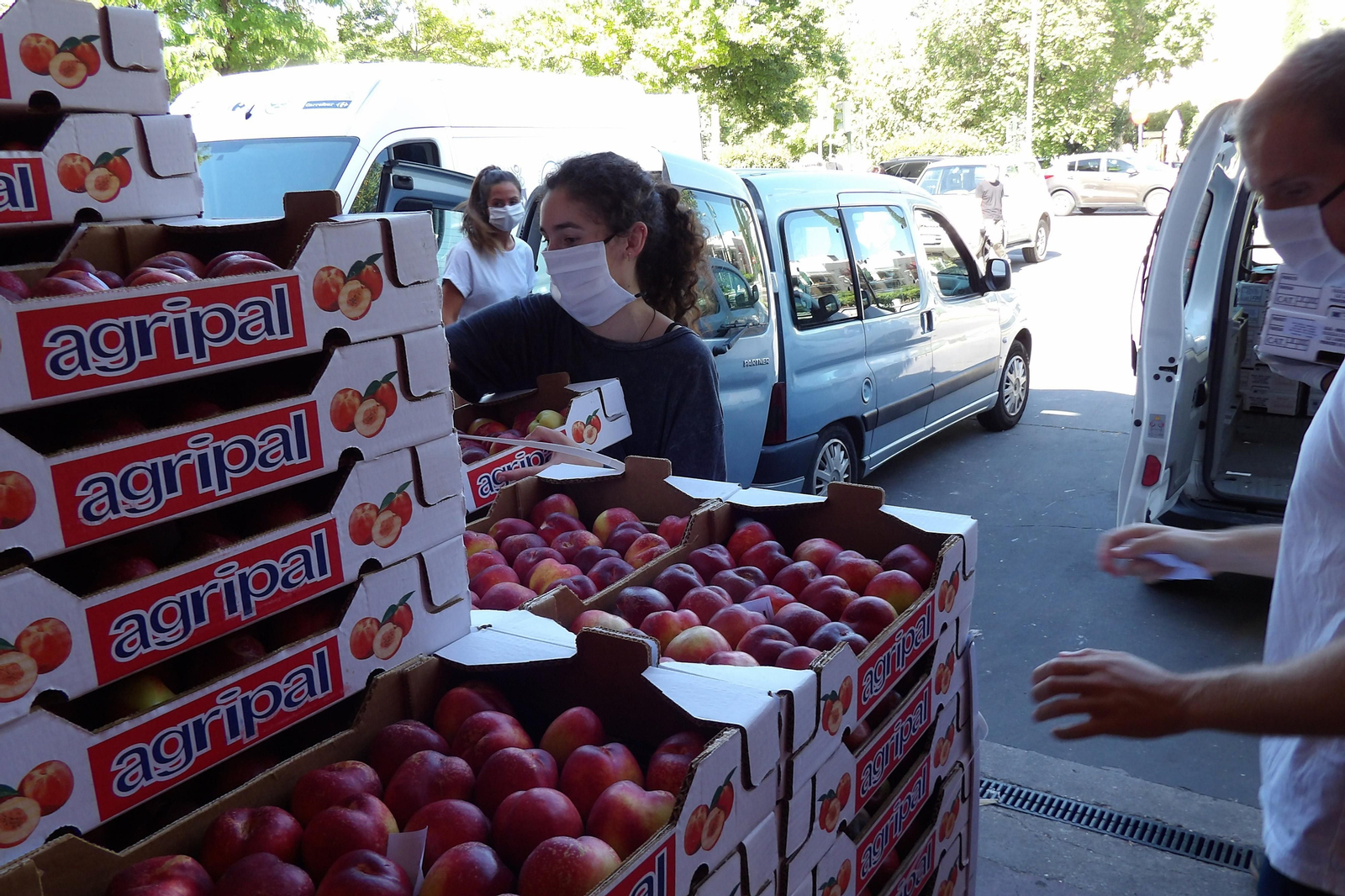 Una voluntaria del Banco de Alimentos manipula una caja de frutas.