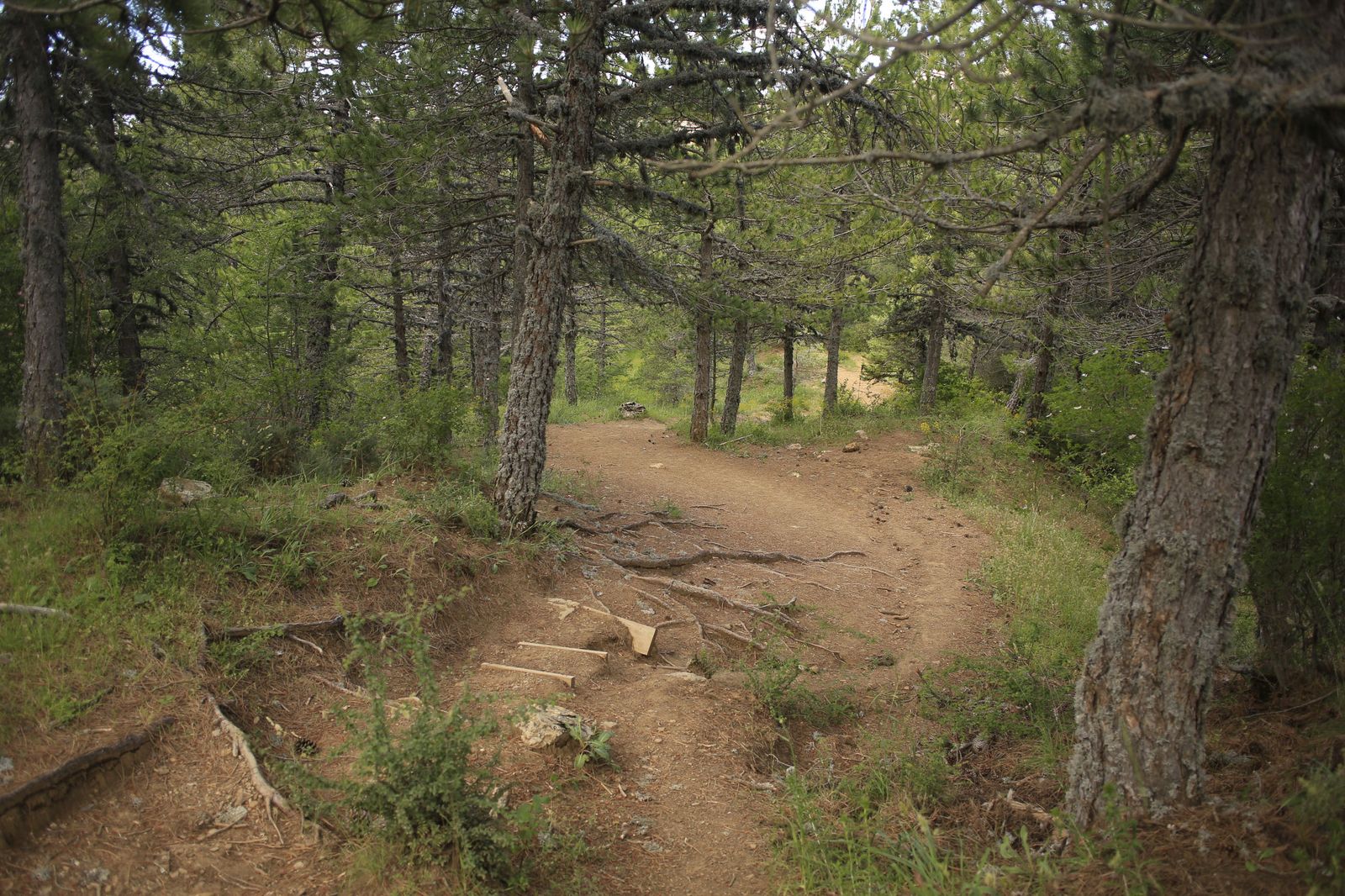 Sendero de la Sierra de las Nieves