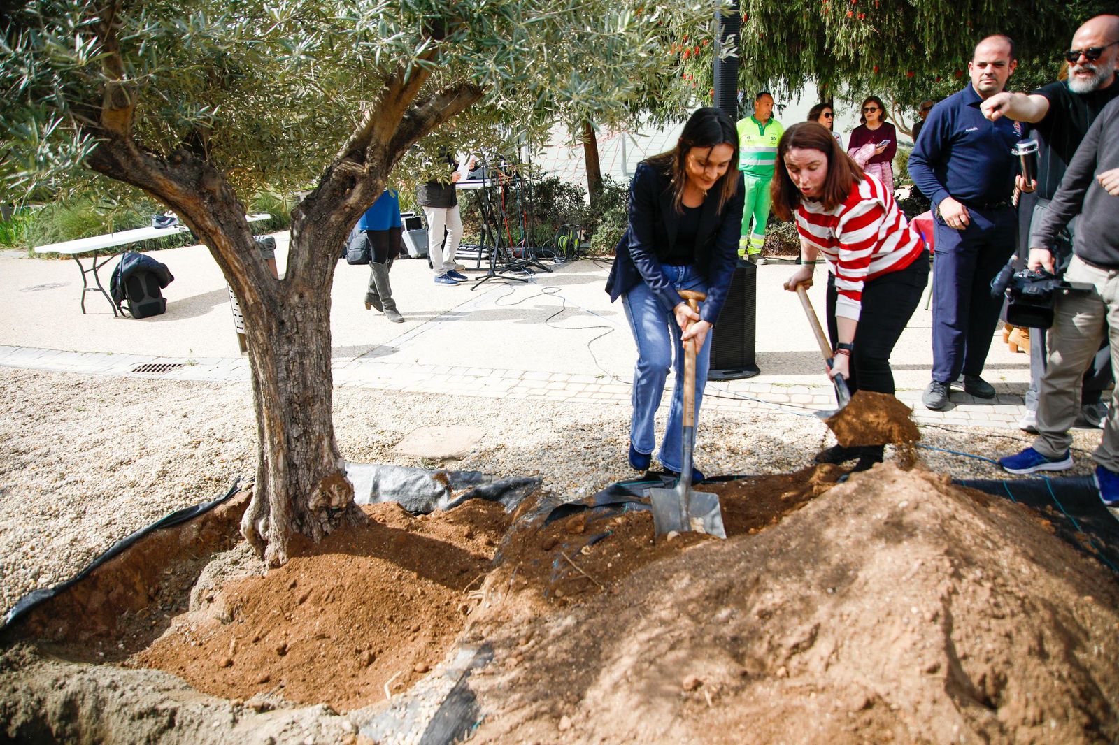 Las imágenes de la plantación de un olivo y el entierro de una cápsula del tiempo