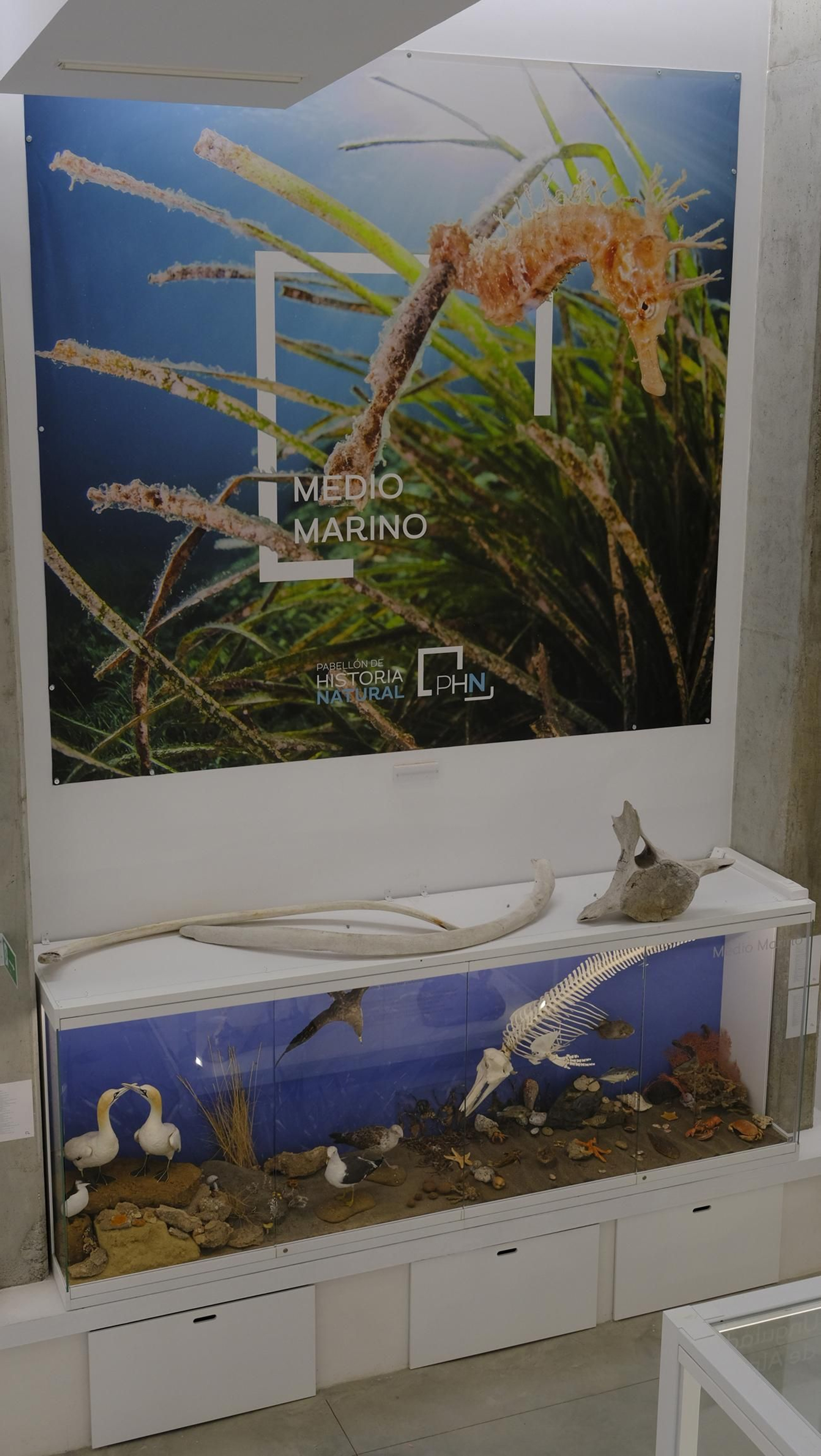 Descubre en estas fotos las maravillas que esconde el Pabellón de Historia Natural de la UAL