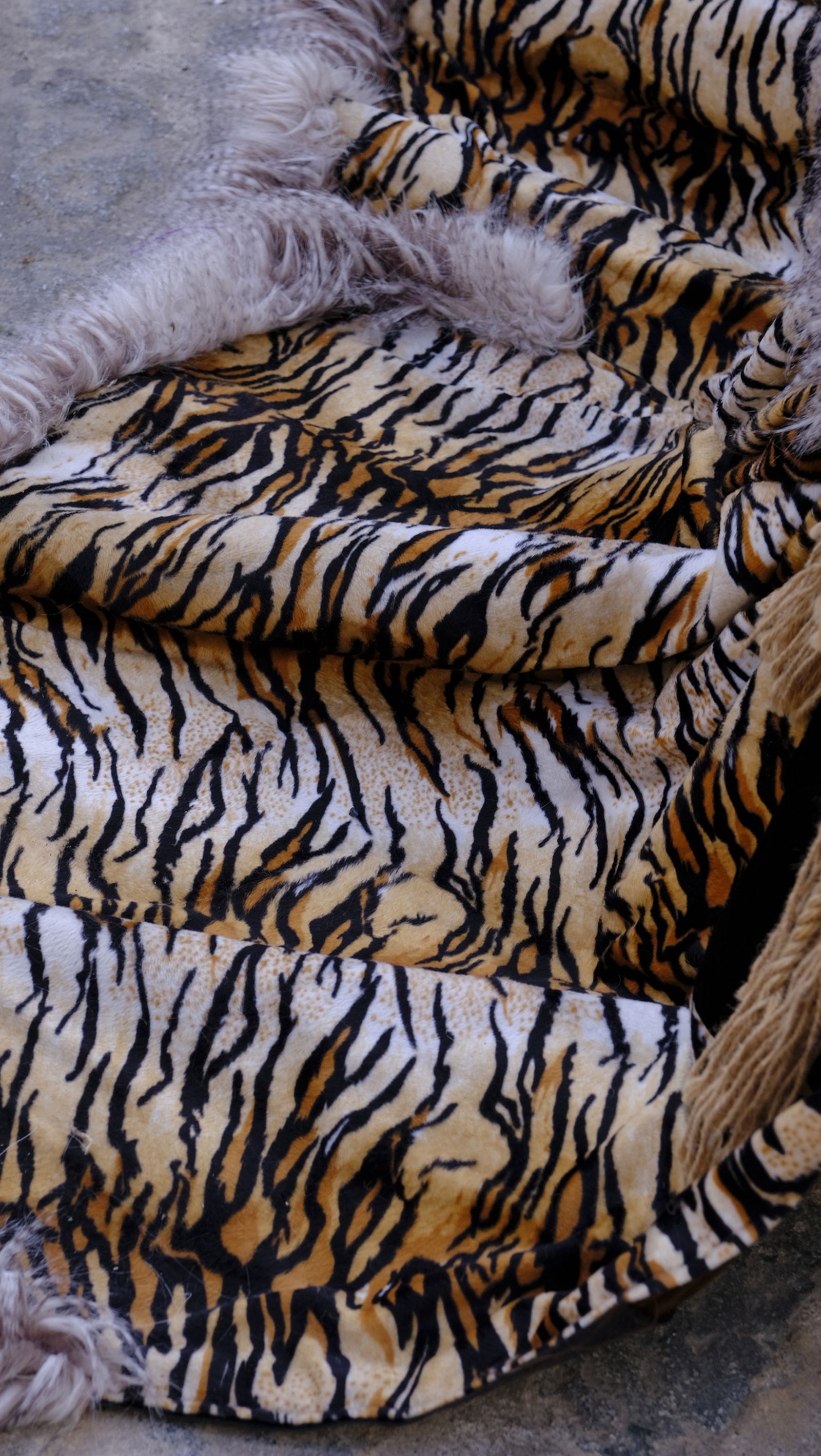 Imágenes del desfile de Moros y Cristianos 2023, en Mojácar