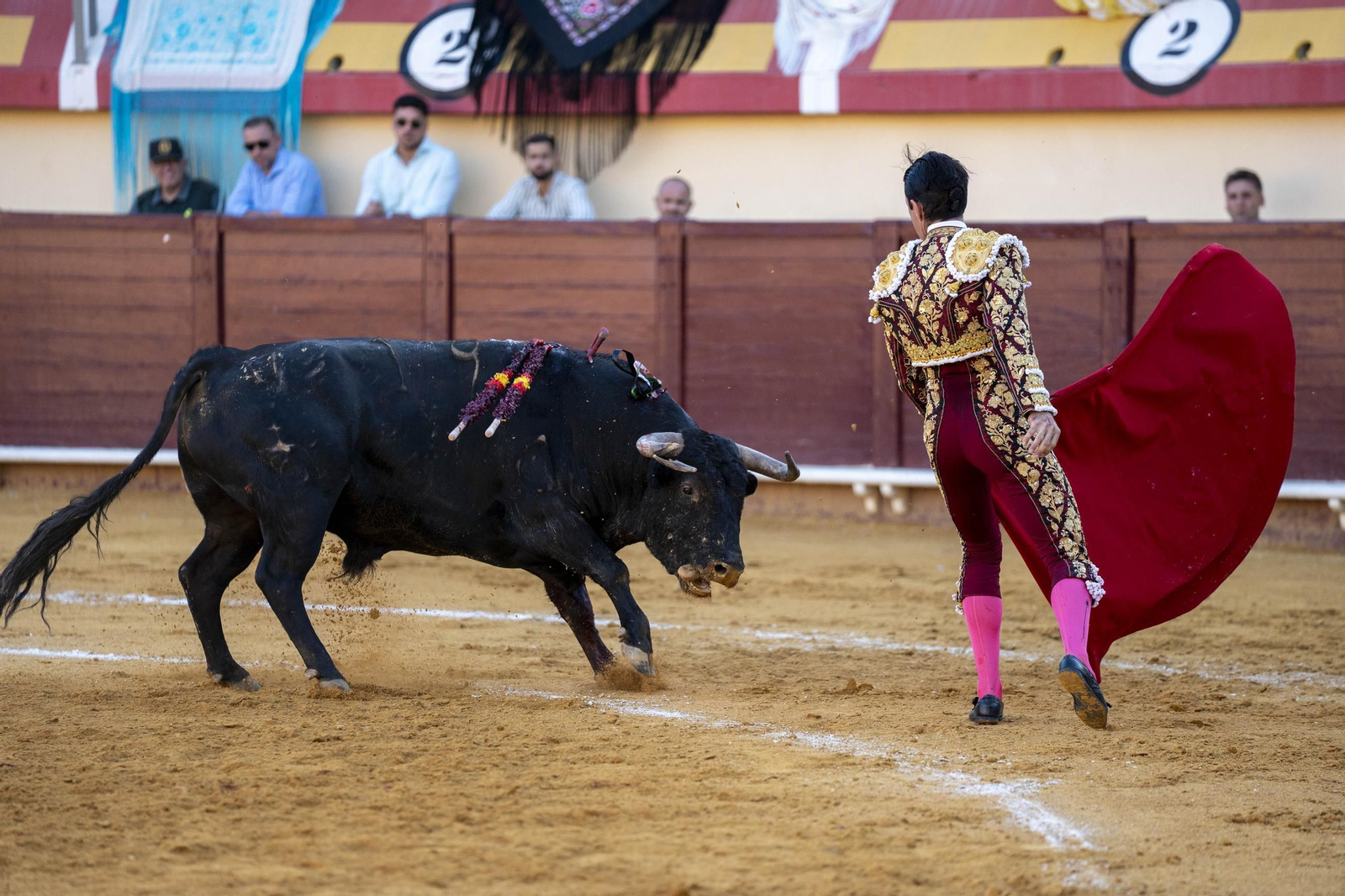 Las imágenes de los toros en Vera