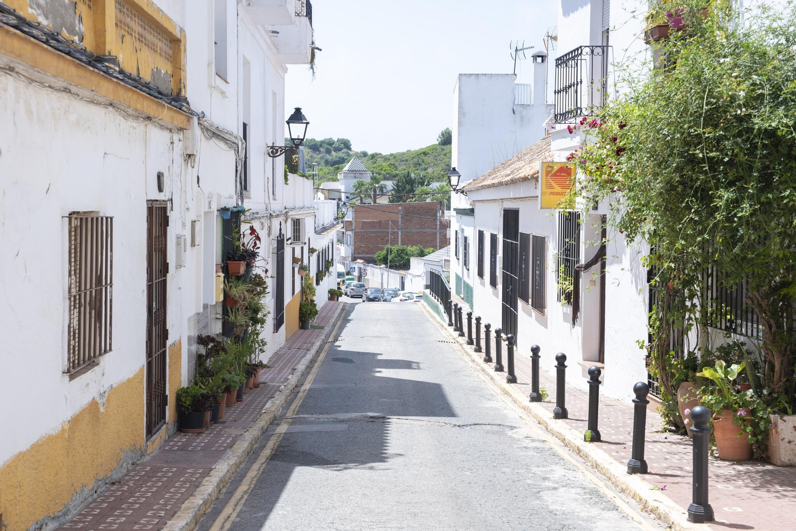 Fotos de una mañana de primavera en el Valle del Guadiaro