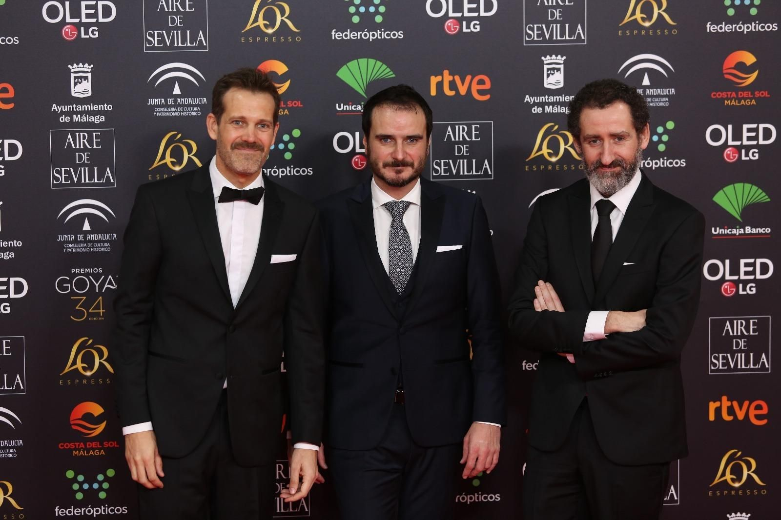 La alfombra roja de los Goya 2020 en Málaga
