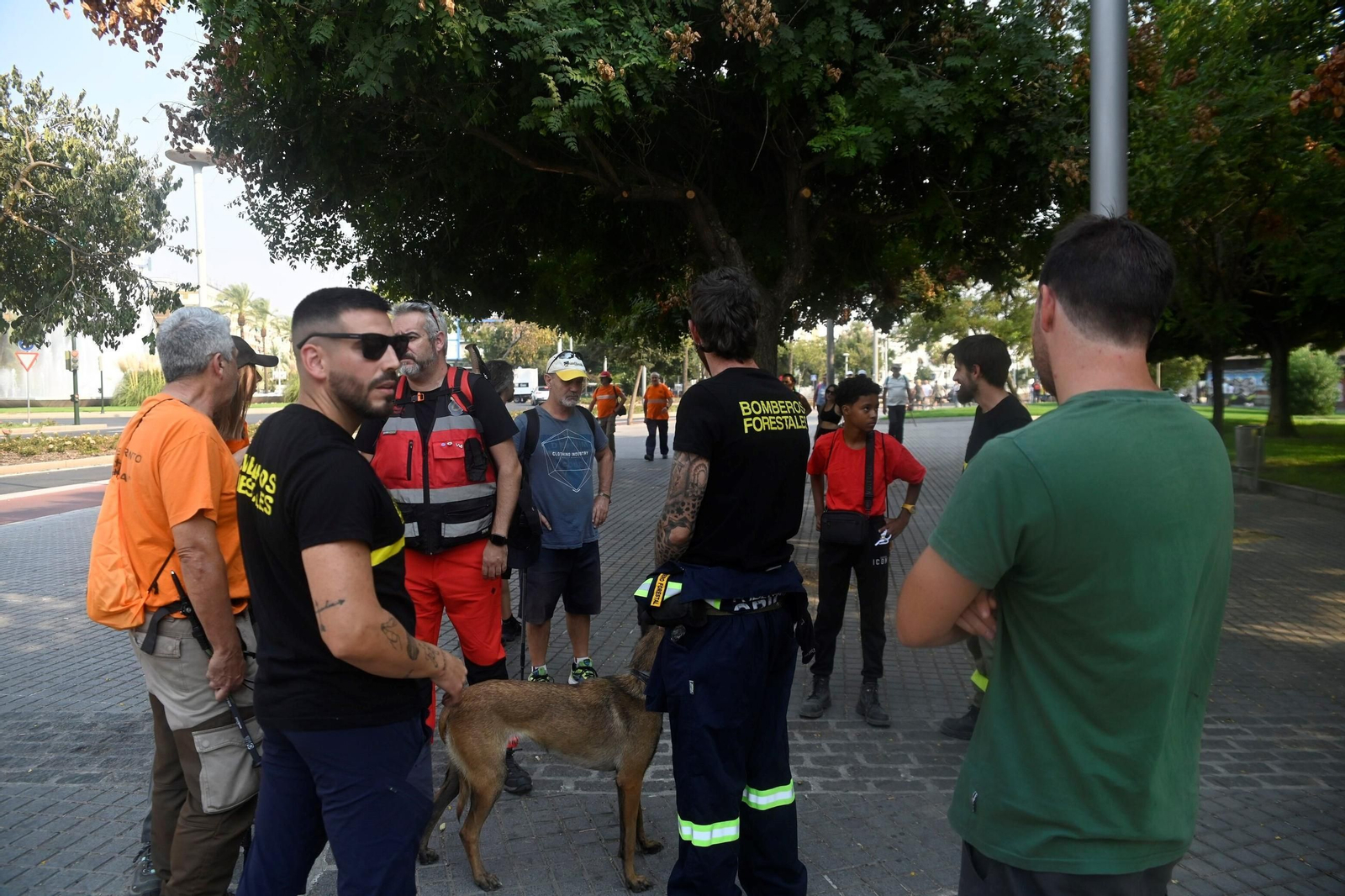 La búsqueda del hombre de 59 años desaparecido en Córdoba, en imágenes