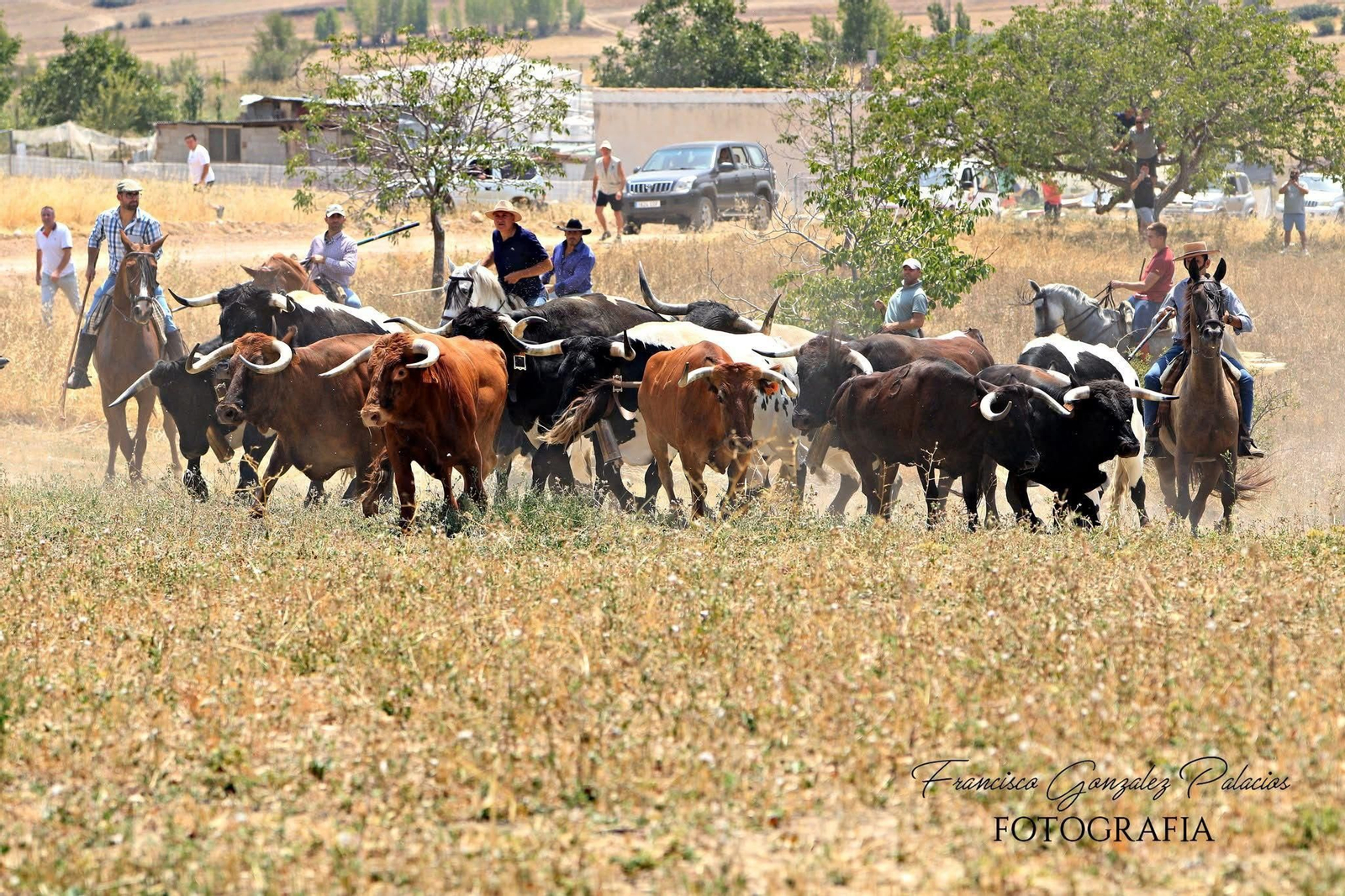 Saltos y fintas de vértigo en los encierros de Santiago de la Espada, en imágenes
