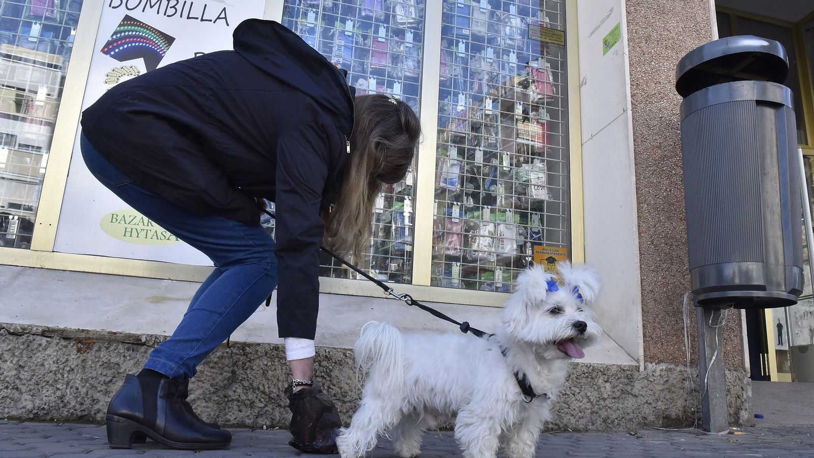 Una mujer recoge los excrementos de su perro en la vía pública.