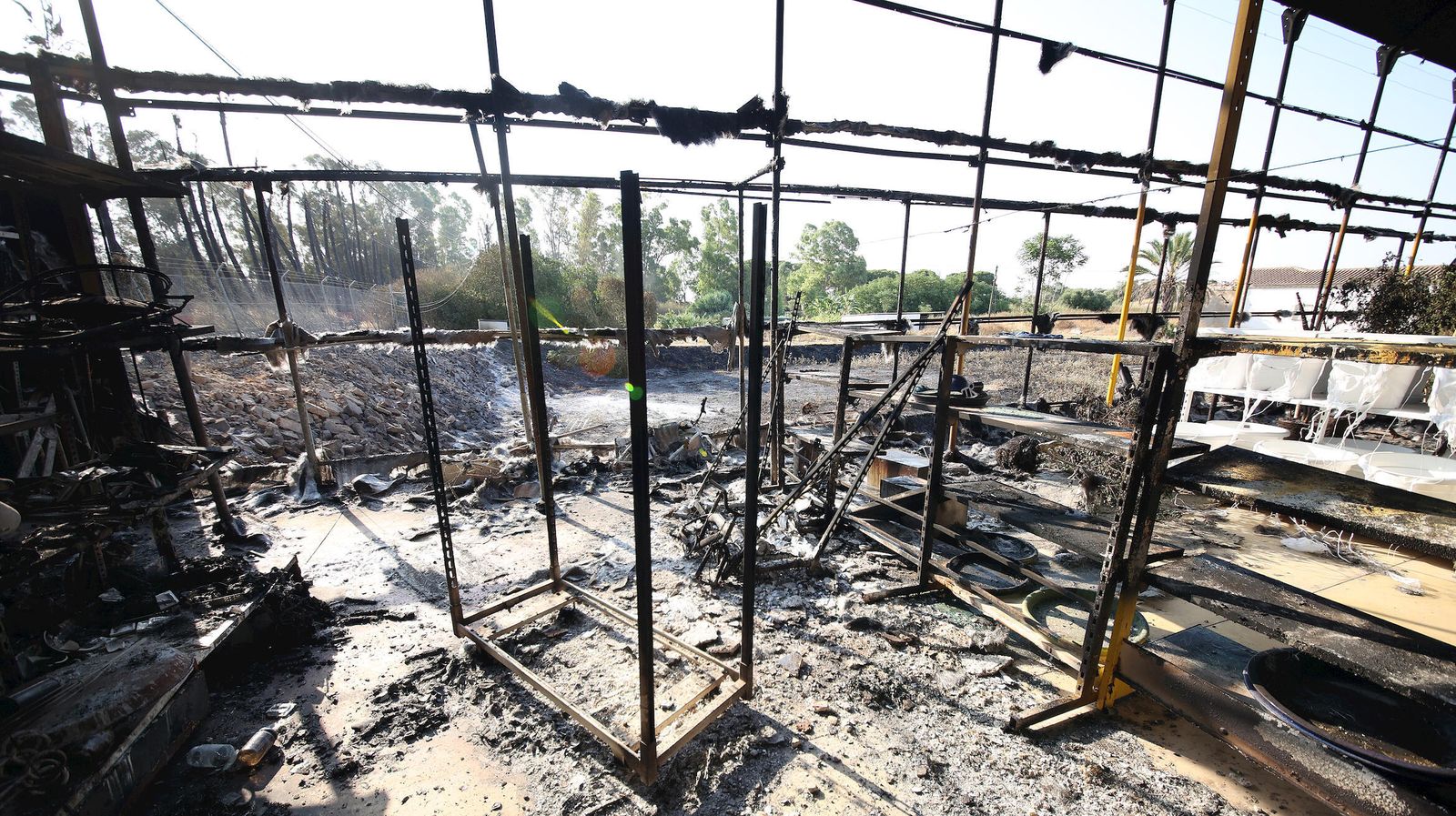 Imágenes de Viveros Olmedo en Jerez tras el incendio del pasado 13 de julio